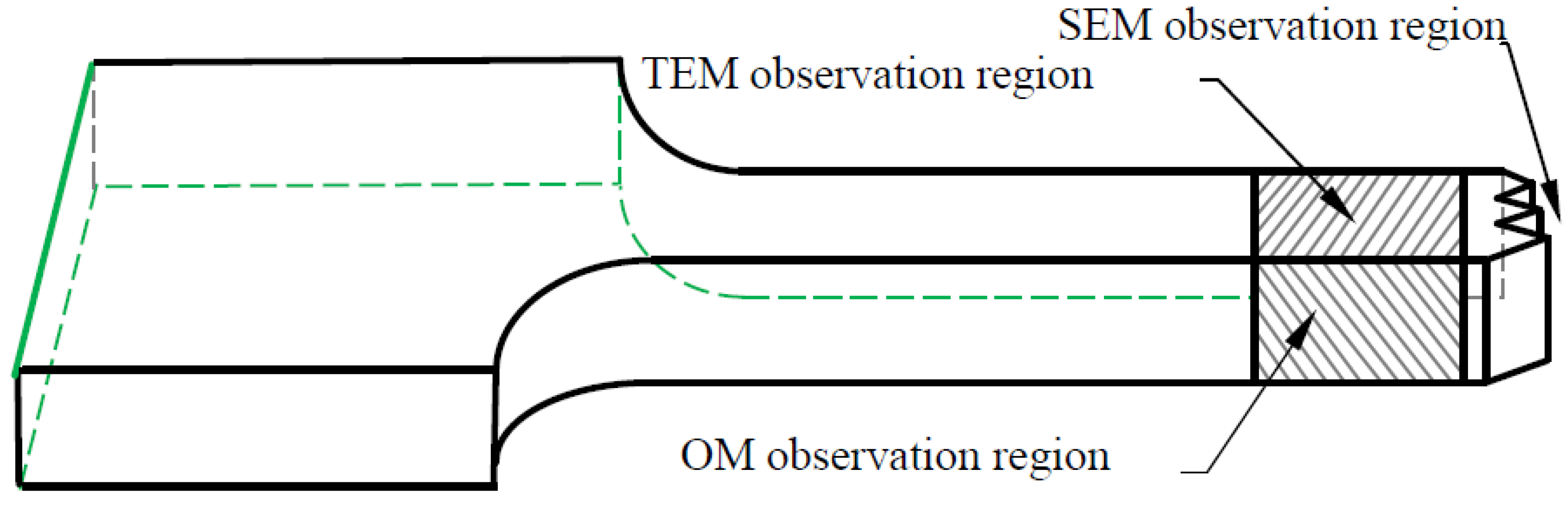 Coatings 14 00602 g003