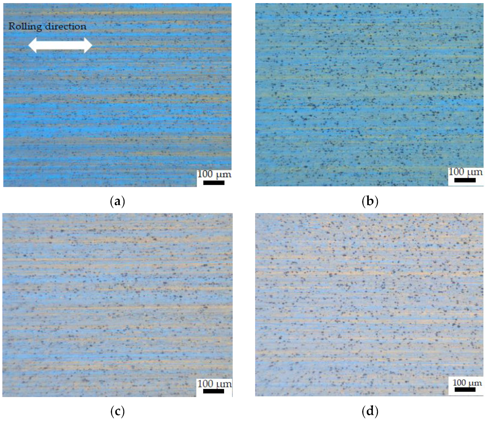 Coatings 14 00602 g007