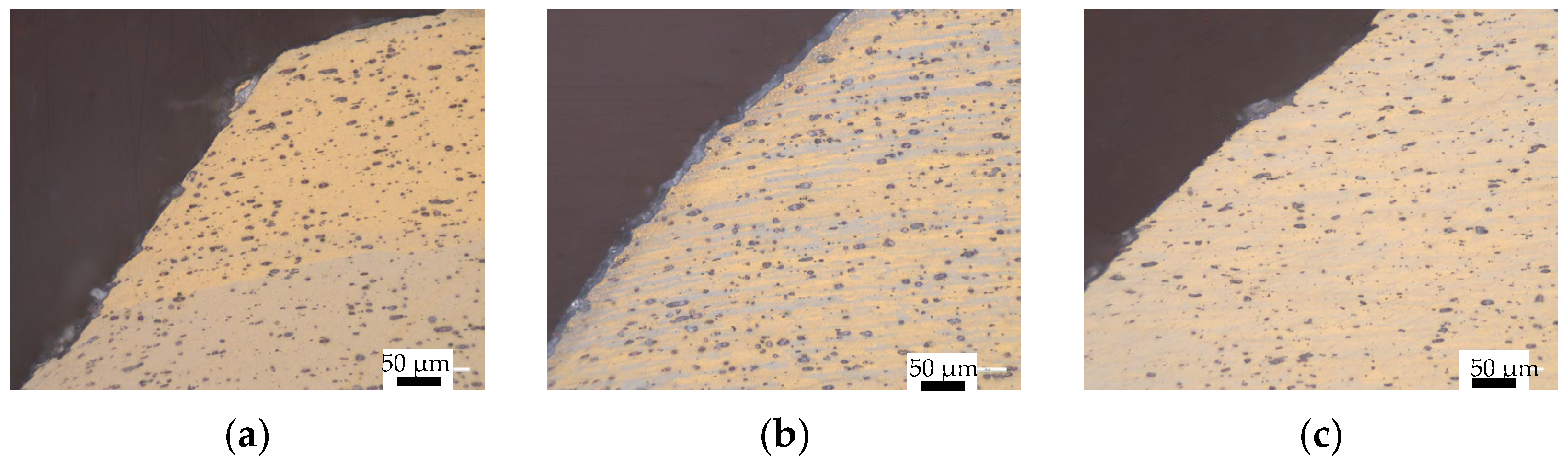 Coatings 14 00602 g008a