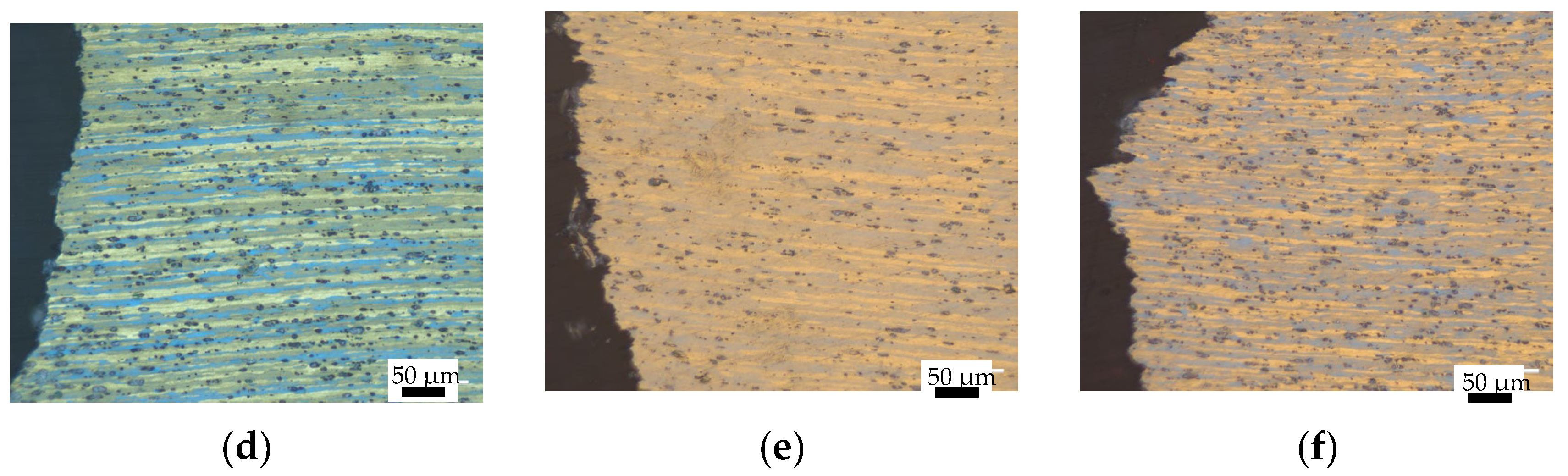 Coatings 14 00602 g008b