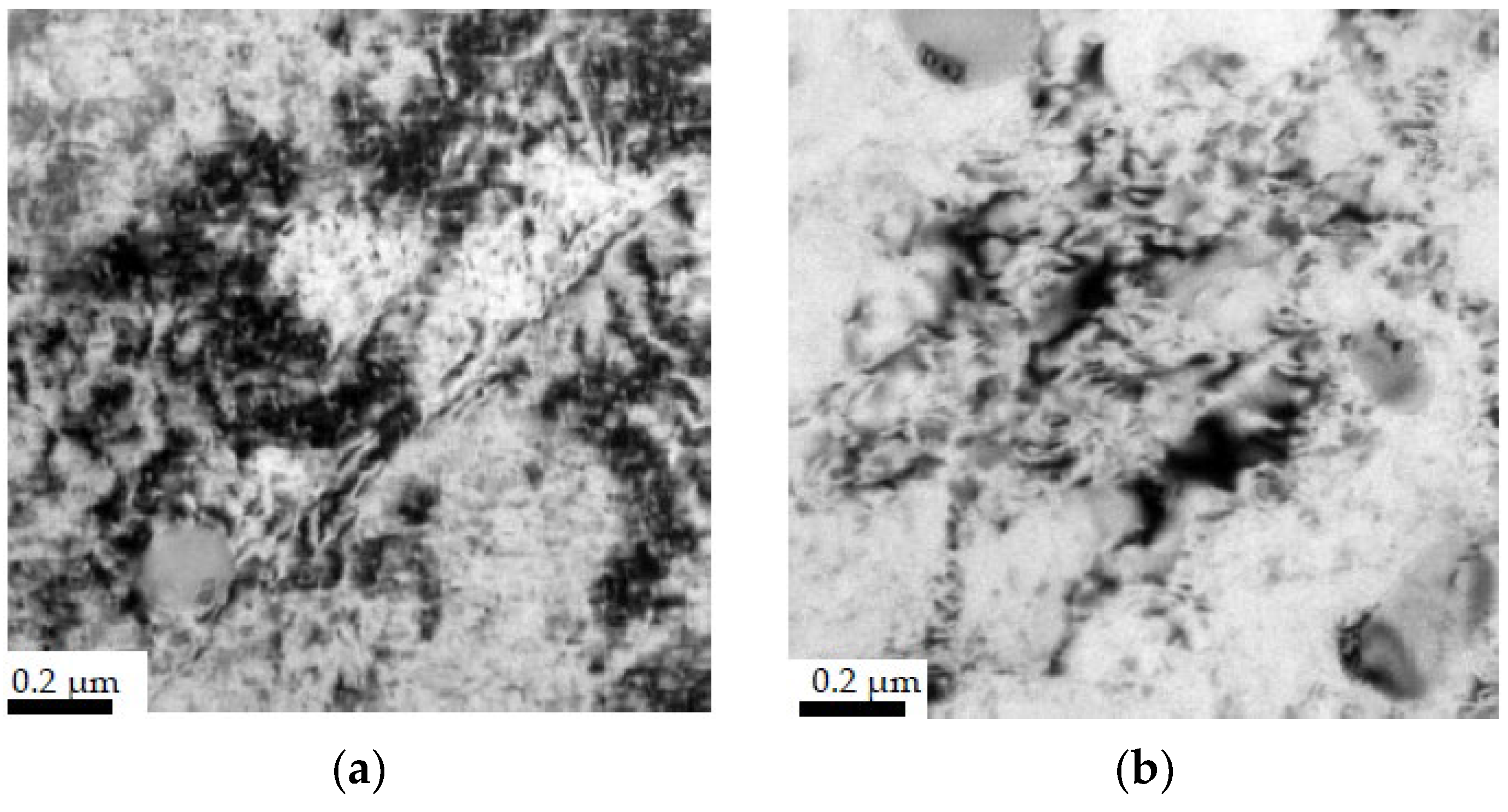 Coatings 14 00602 g010a