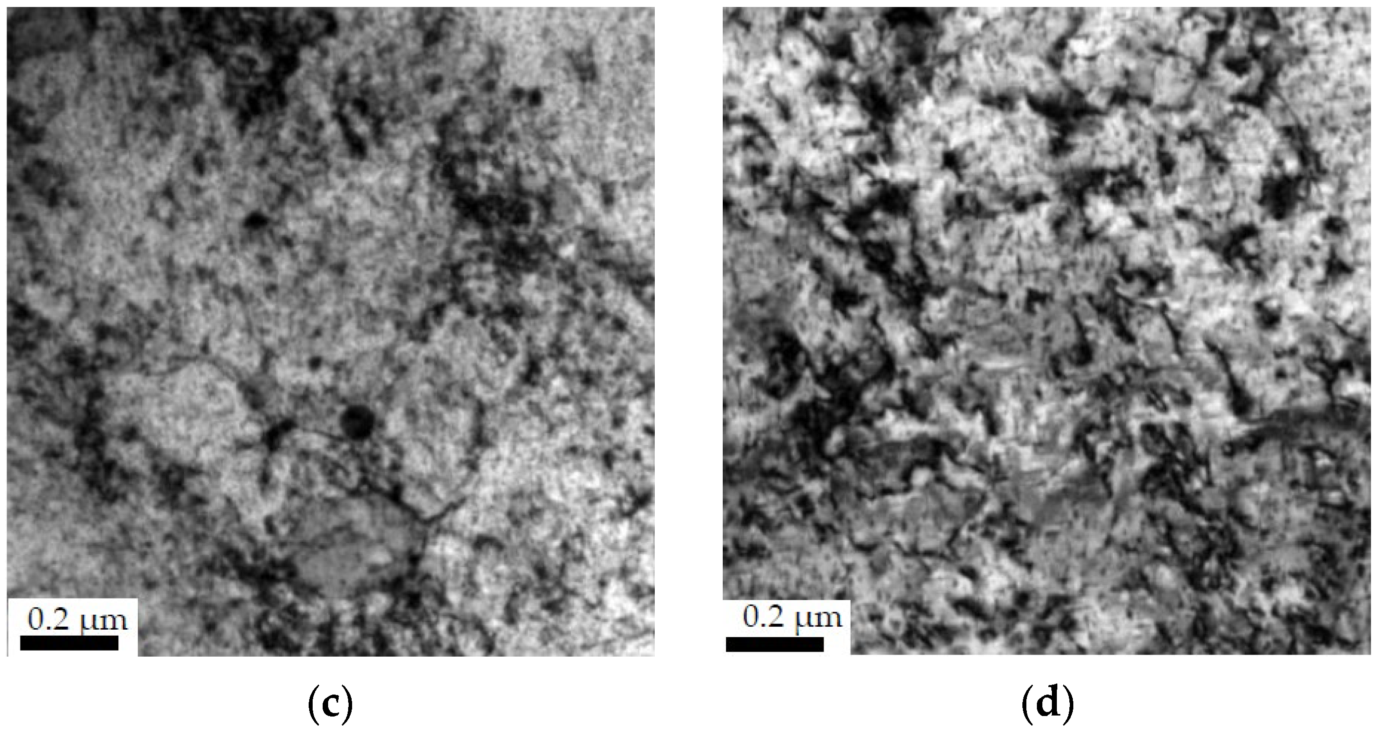 Coatings 14 00602 g010b
