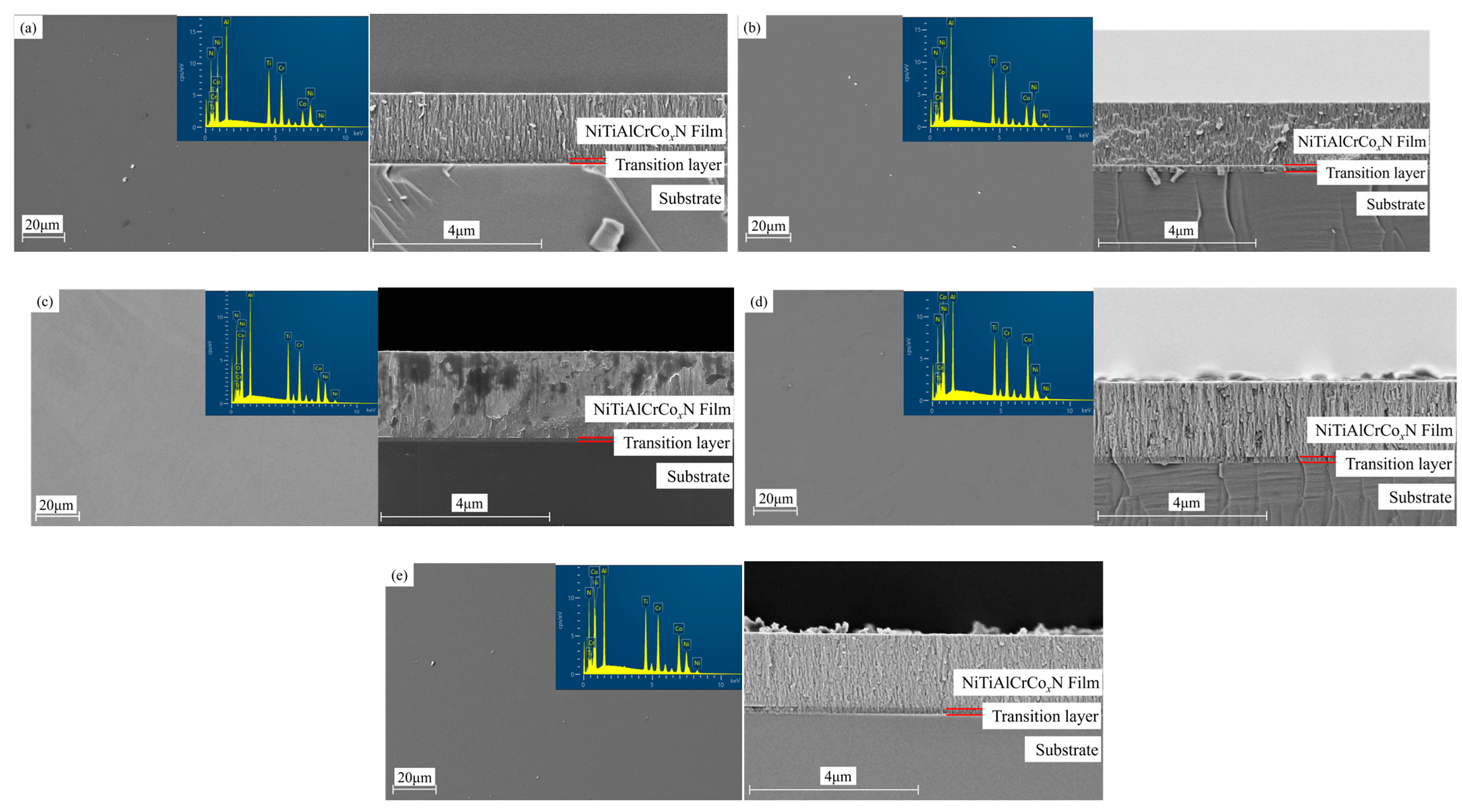 Coatings 14 00603 g003