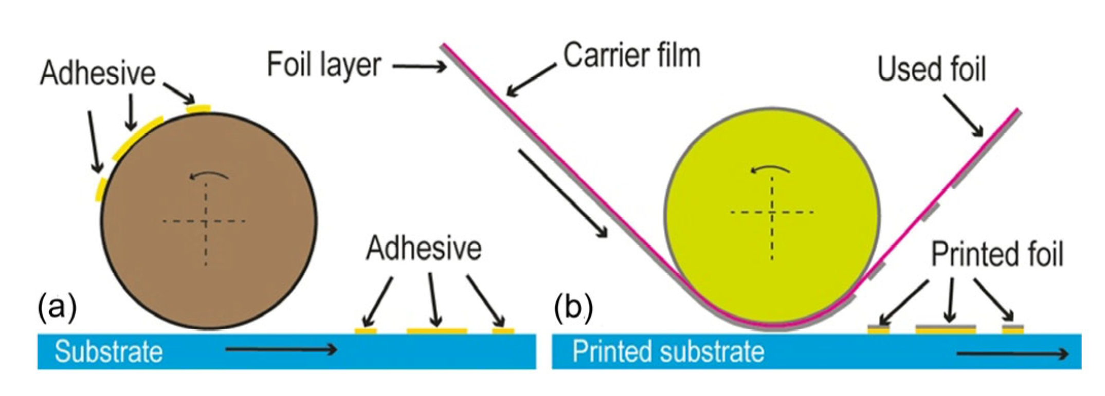 Coatings 14 00604 g003