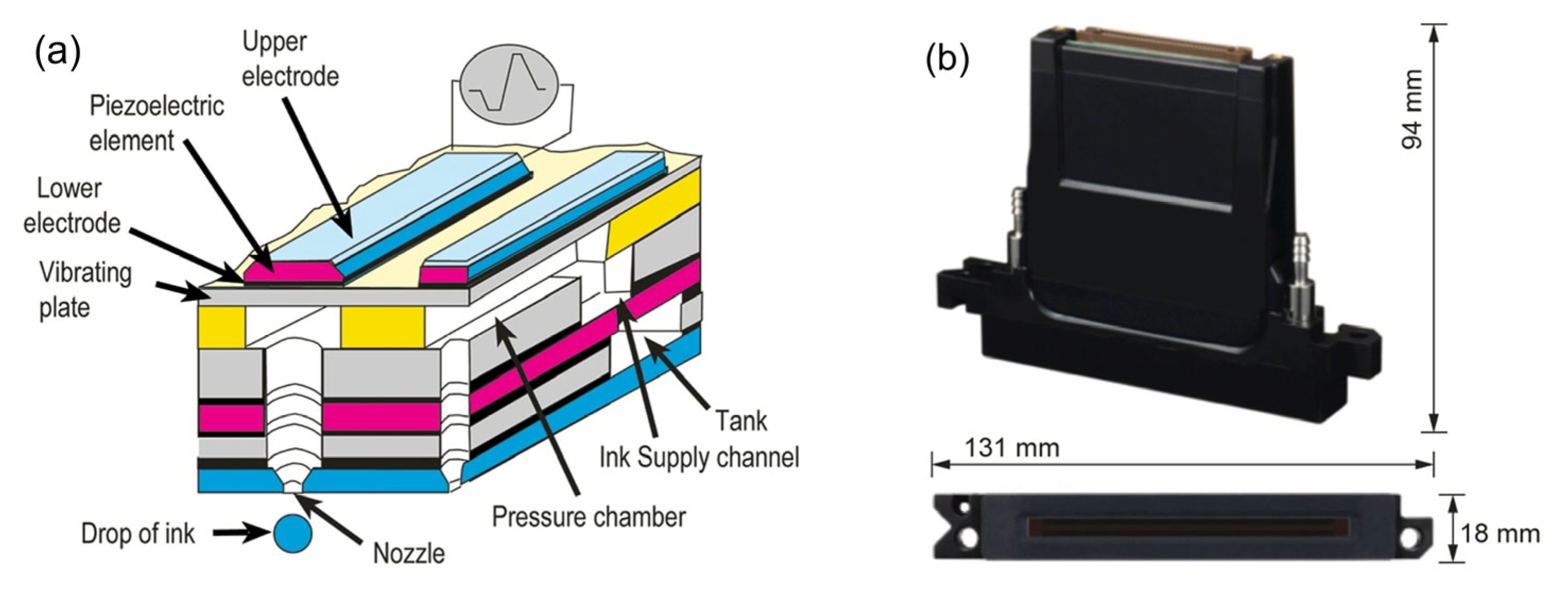 Coatings 14 00604 g004