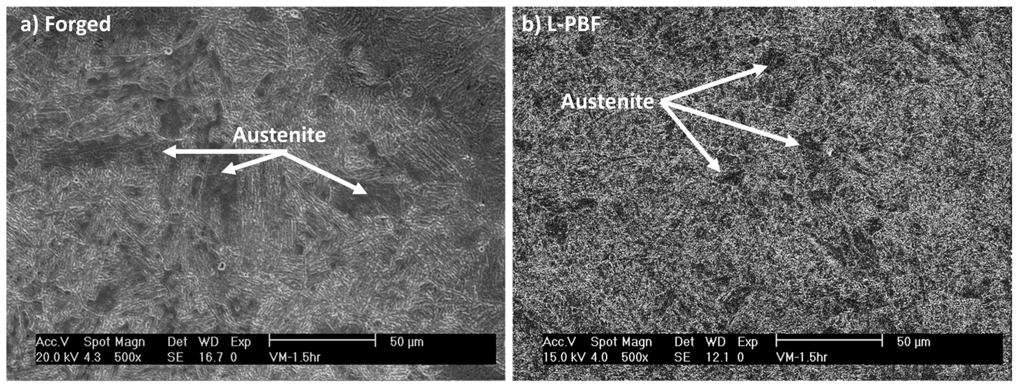 Coatings 14 00605 g002
