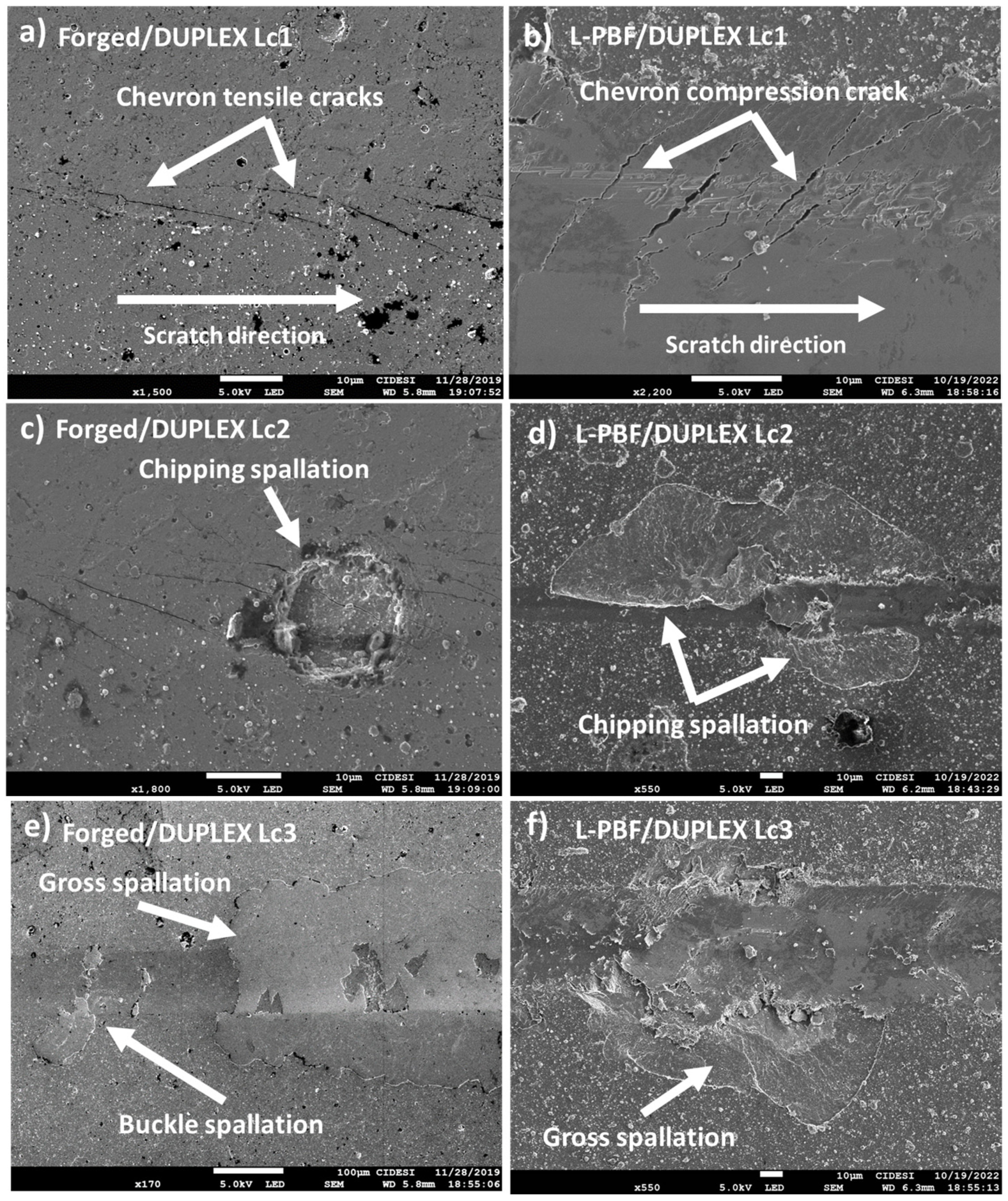 Coatings 14 00605 g007