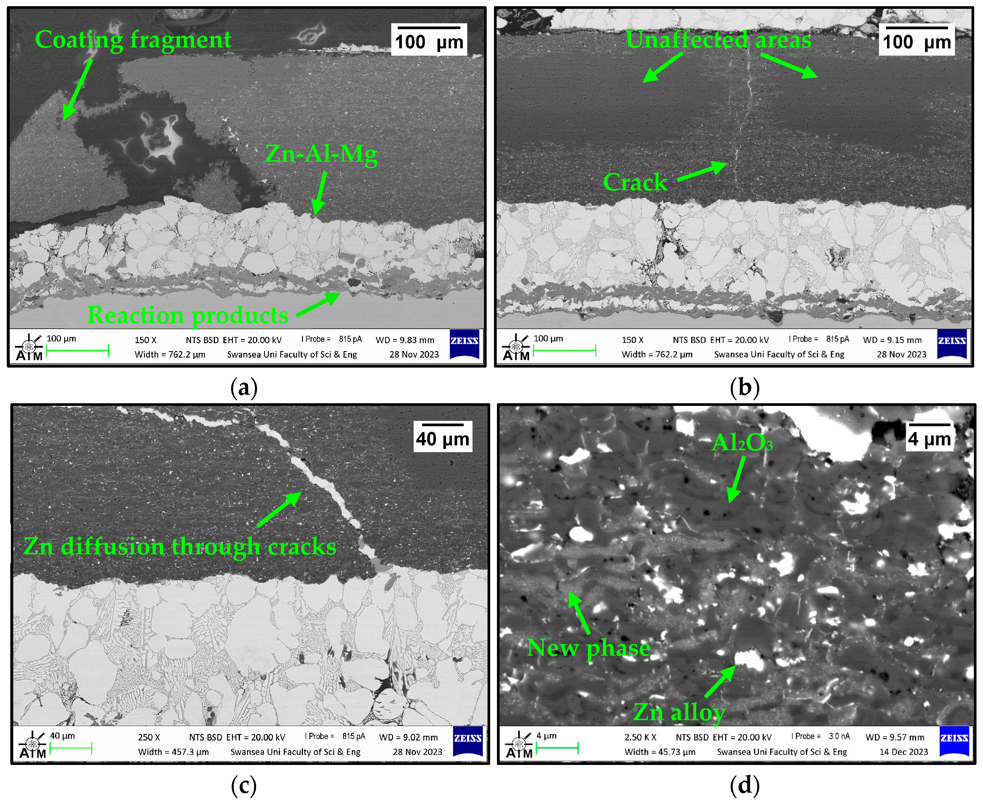 Coatings 14 00606 g009
