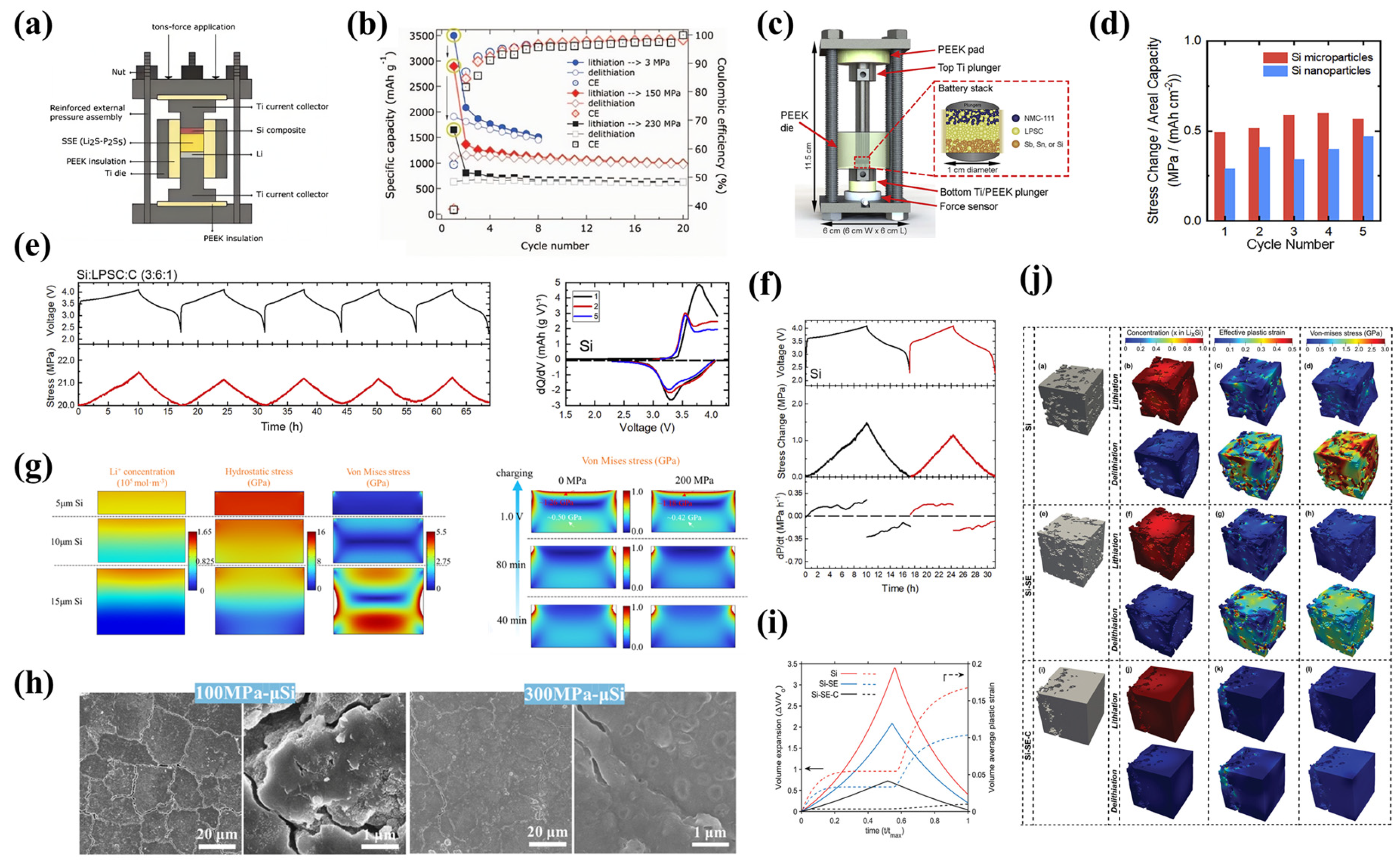 Coatings 14 00608 g010