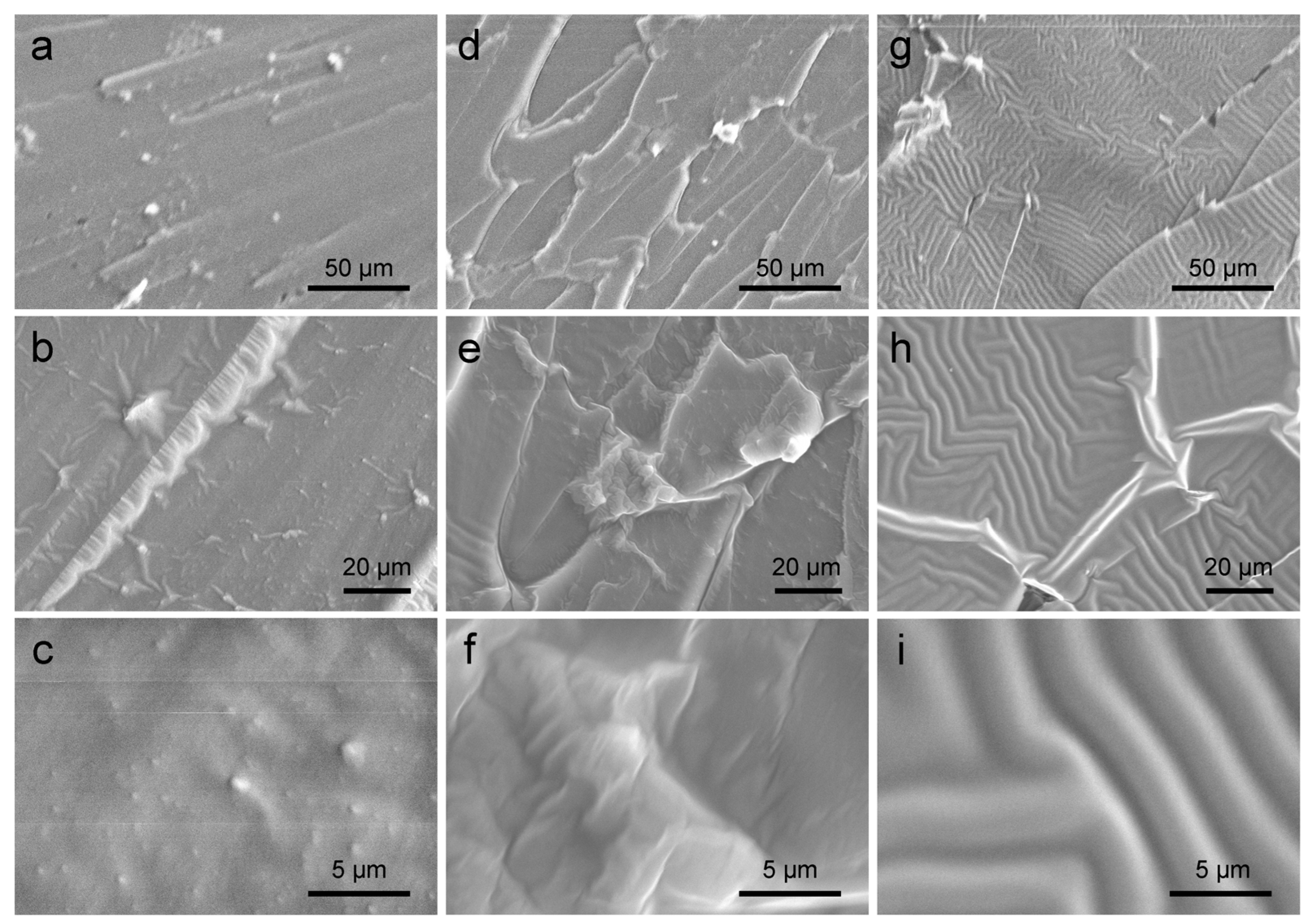 Coatings 14 00609 g005