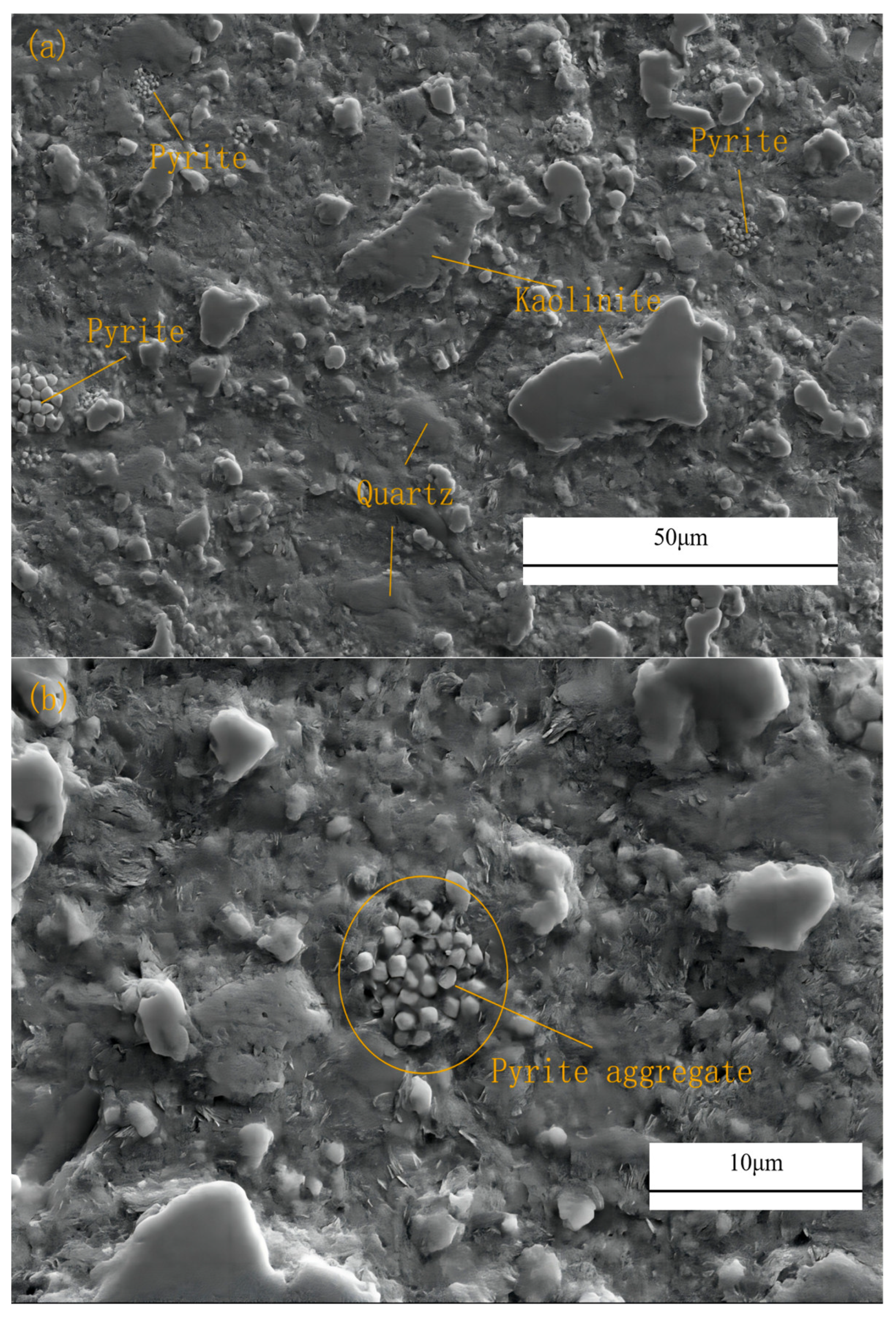 Coatings 14 00610 g007