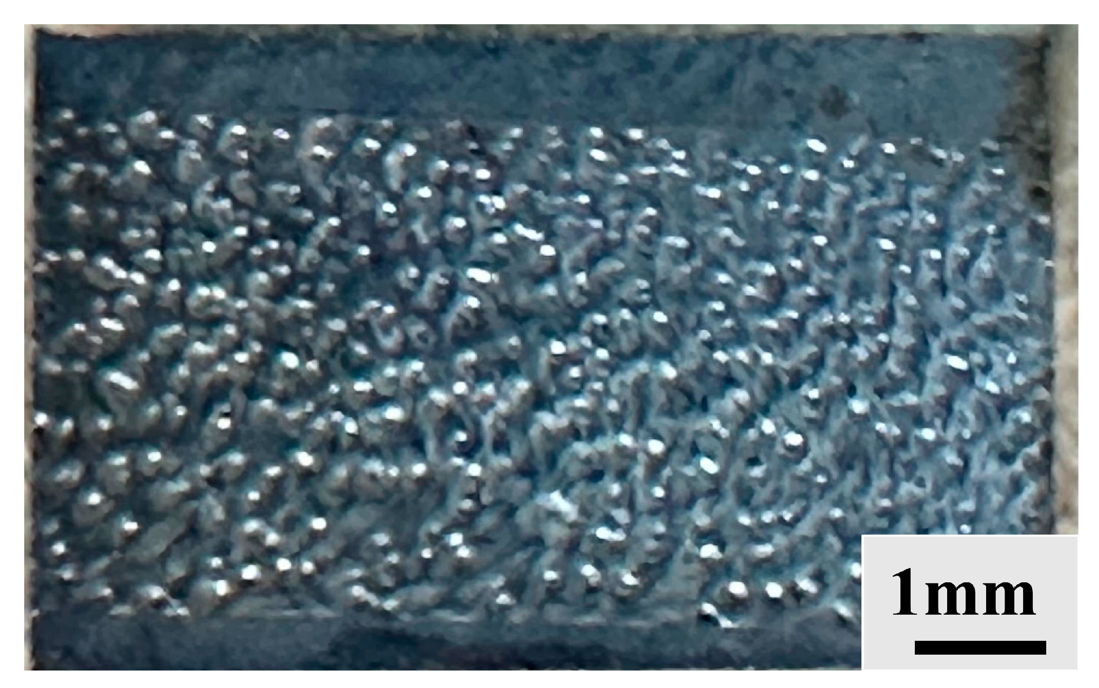 Coatings 14 00611 g009 Coatings 14 00611 g009