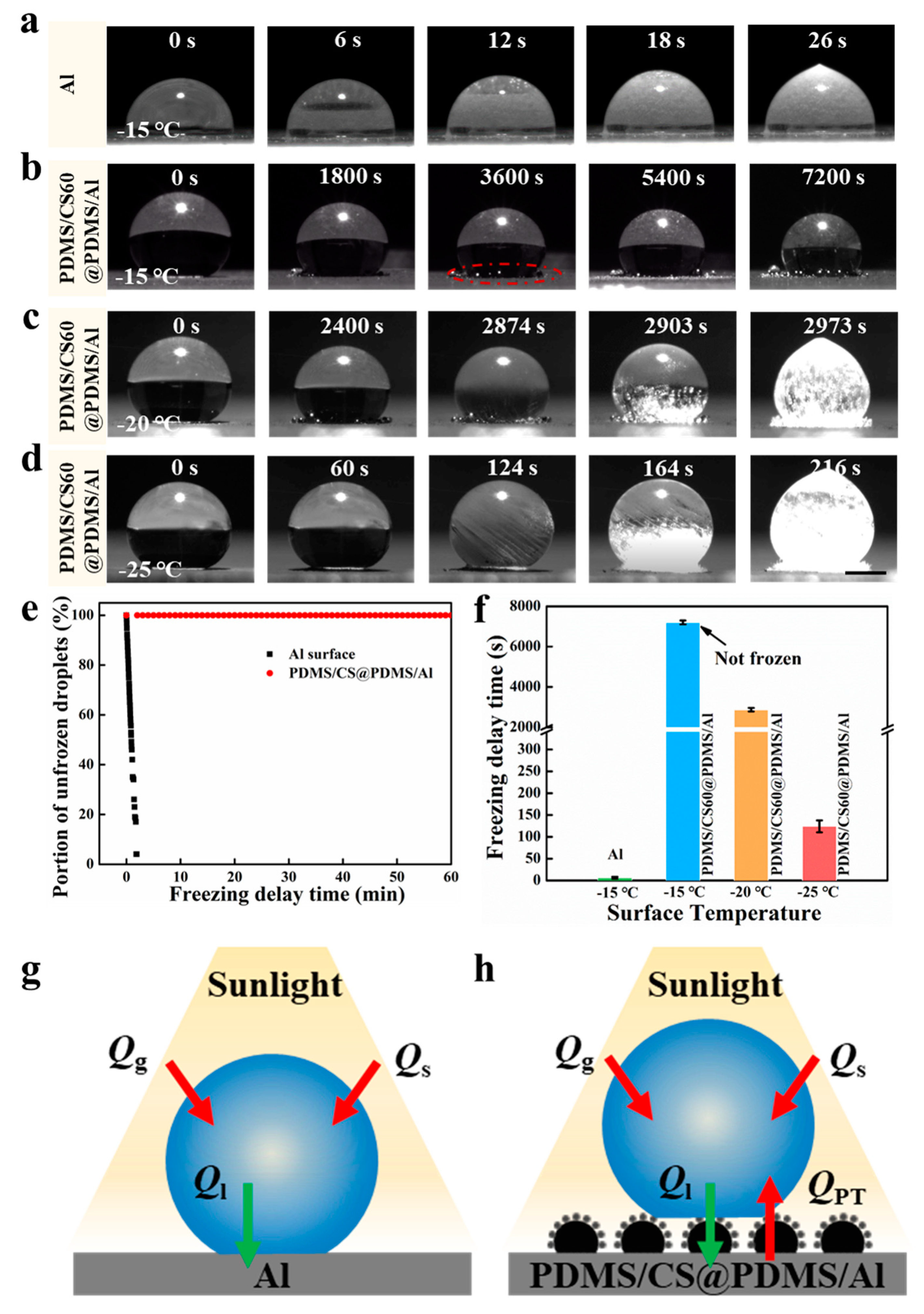 Coatings 14 00612 g004