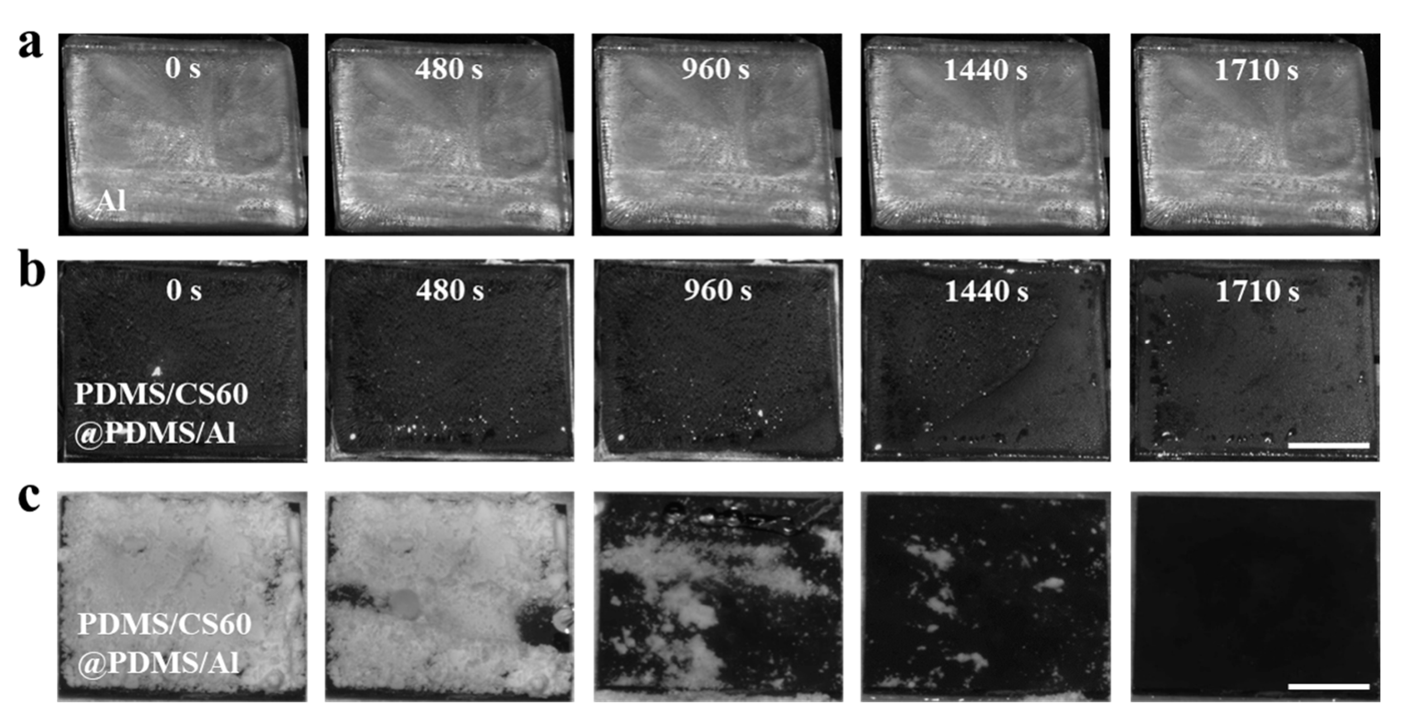 Coatings 14 00612 g006