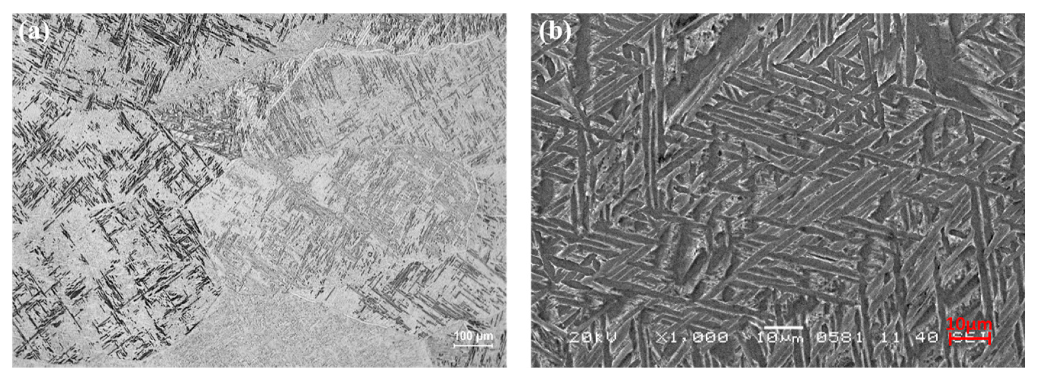 Coatings 14 00614 g006