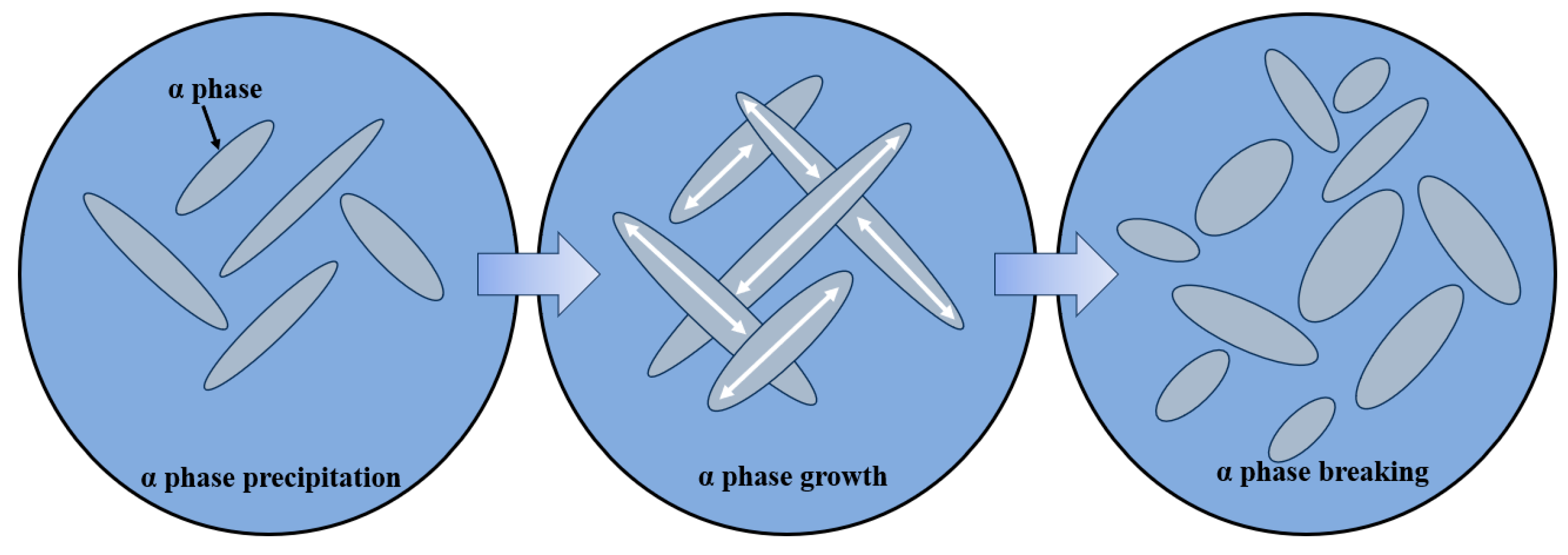 Coatings 14 00614 g007