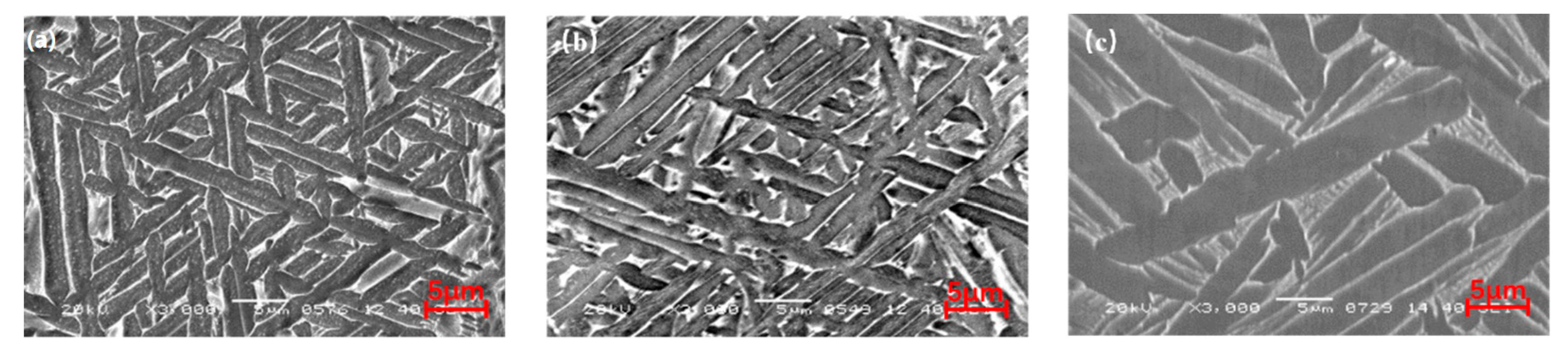 Coatings 14 00614 g010