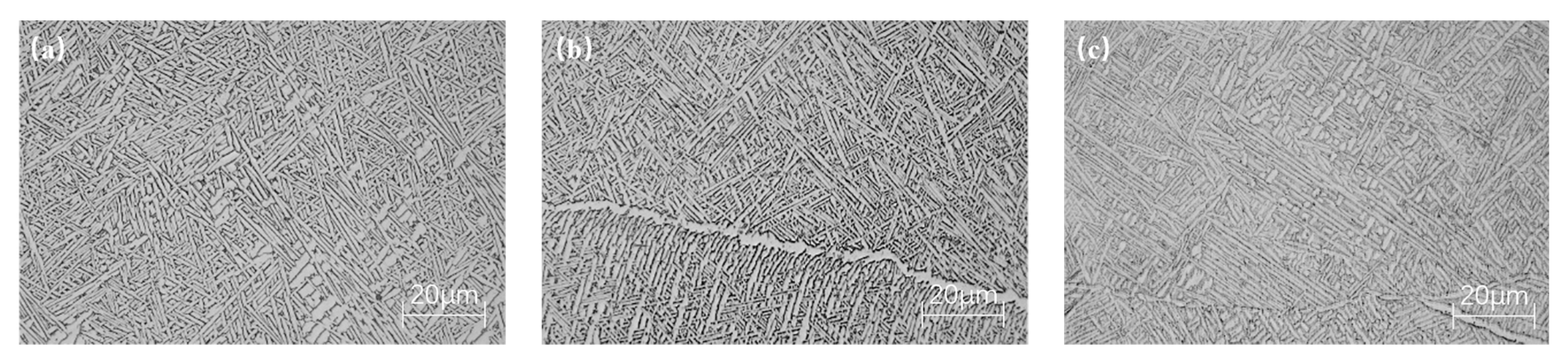 Coatings 14 00614 g012