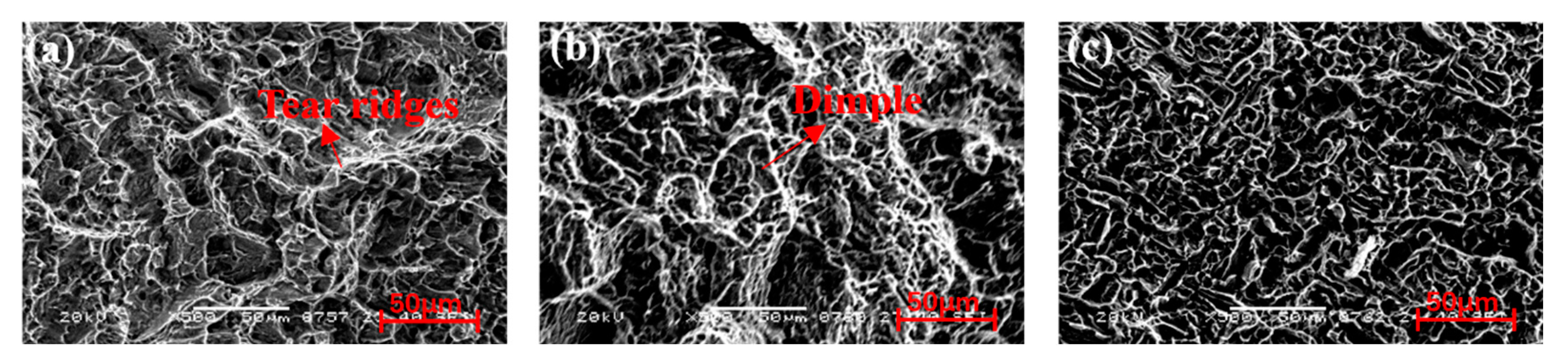 Coatings 14 00614 g016