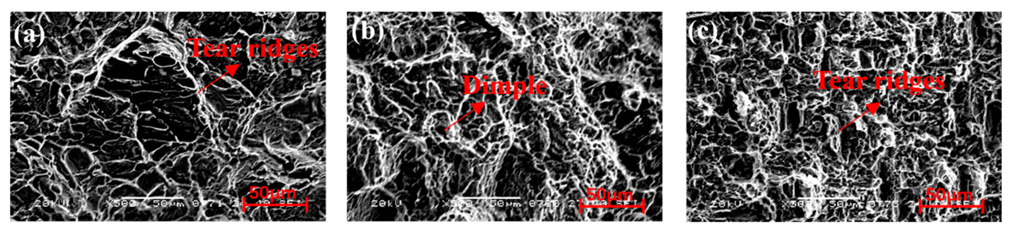 Coatings 14 00614 g020
