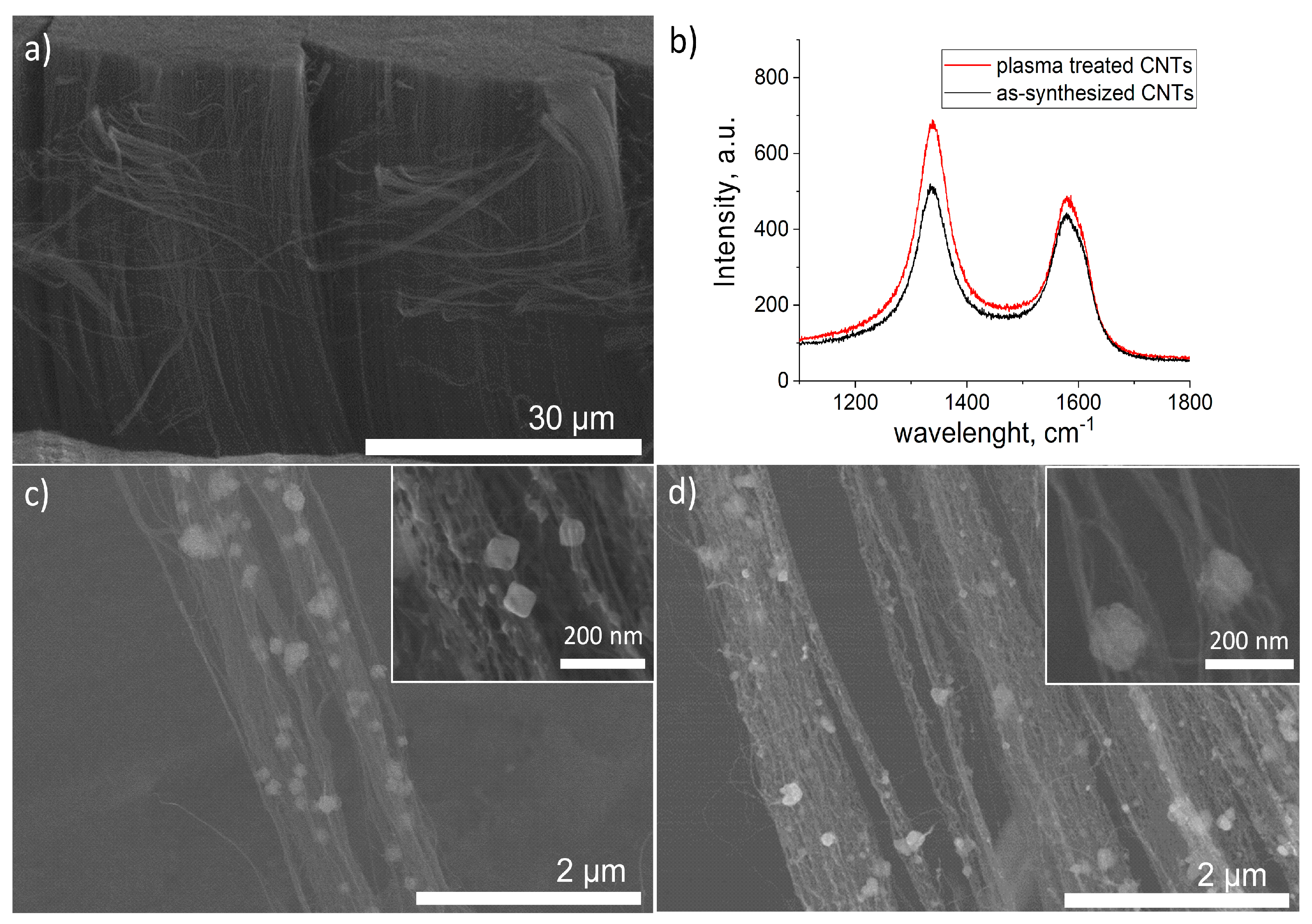 Coatings 14 00619 g001