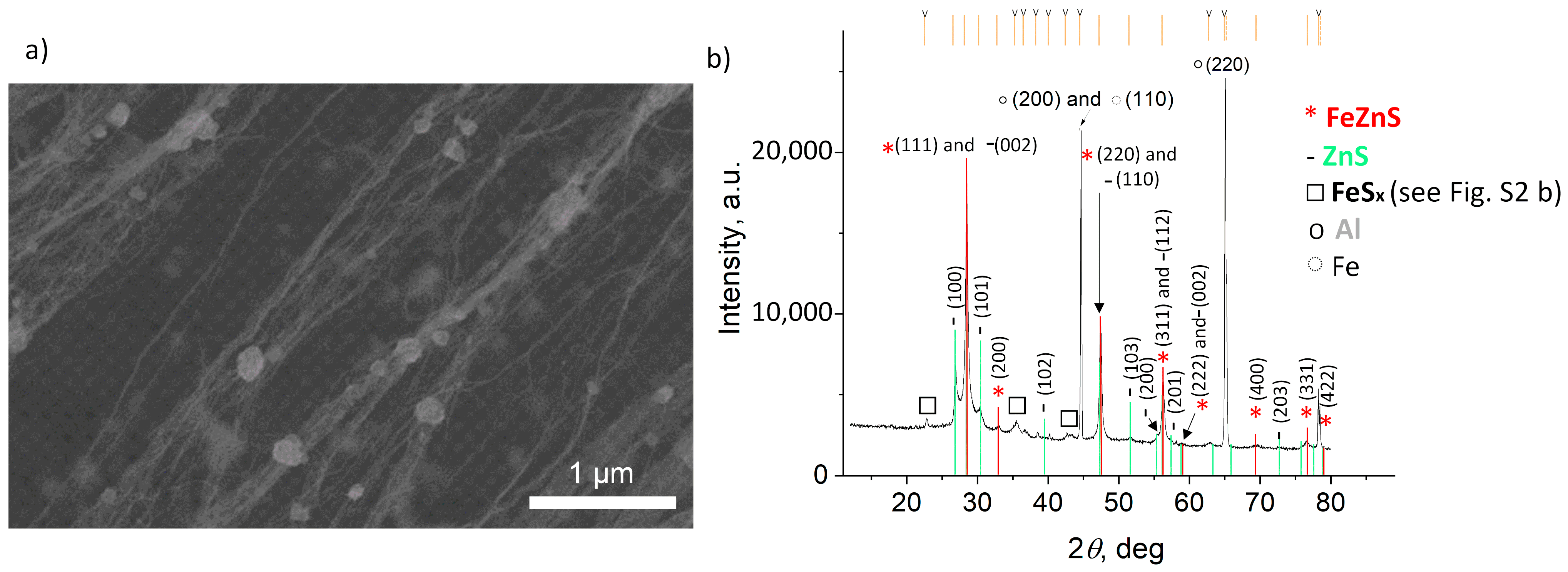 Coatings 14 00619 g003