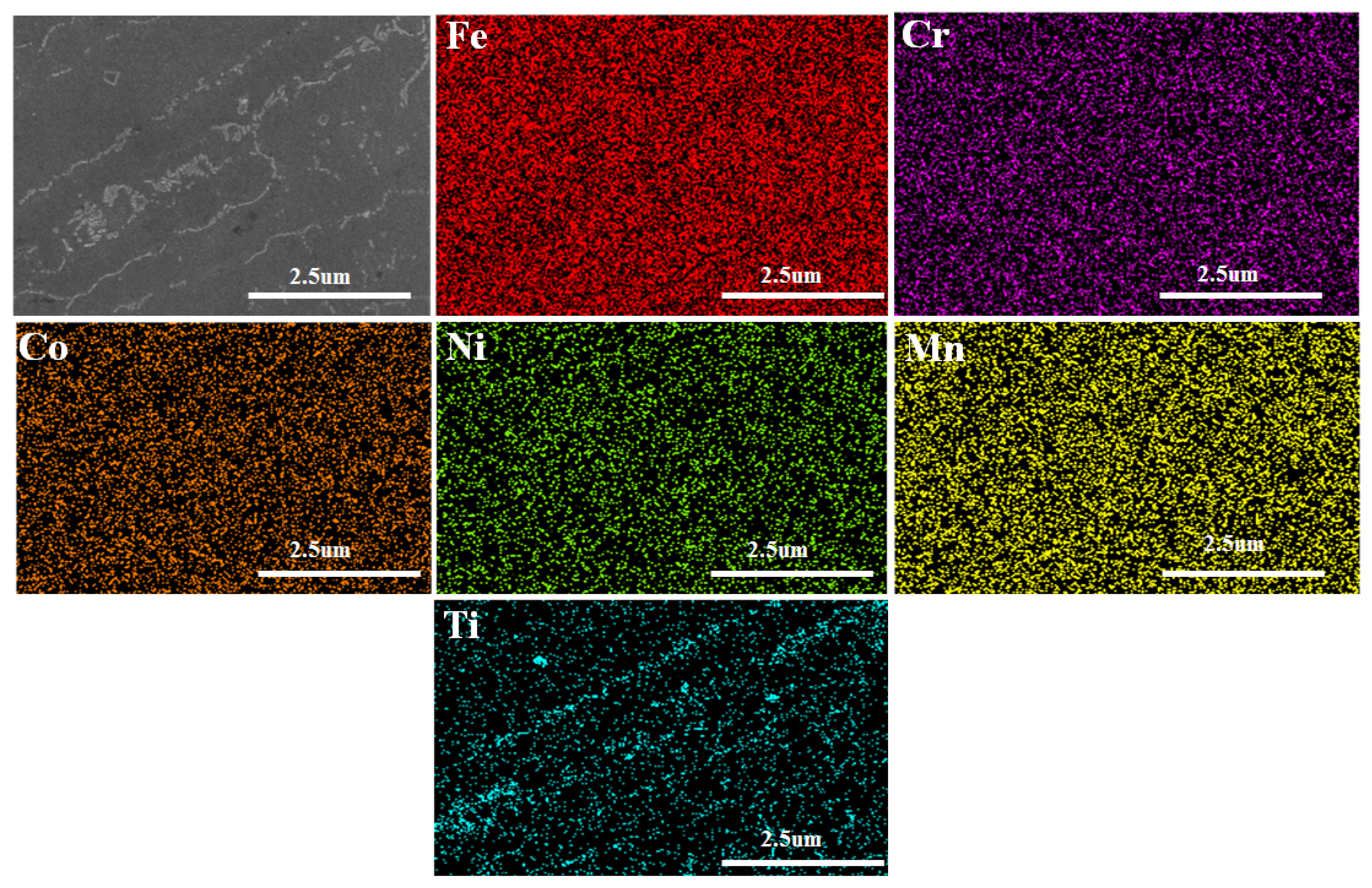 Coatings 14 00620 g004