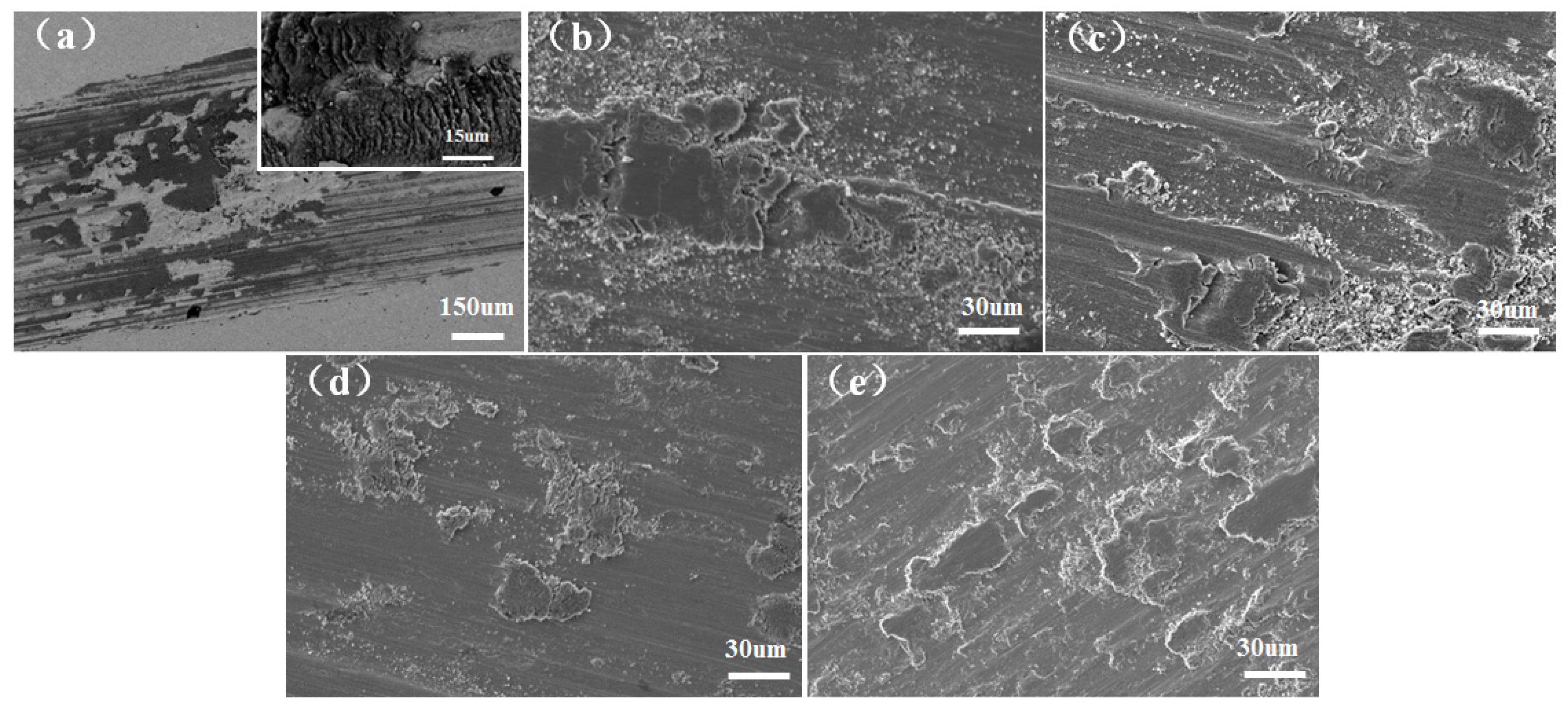 Coatings 14 00620 g007