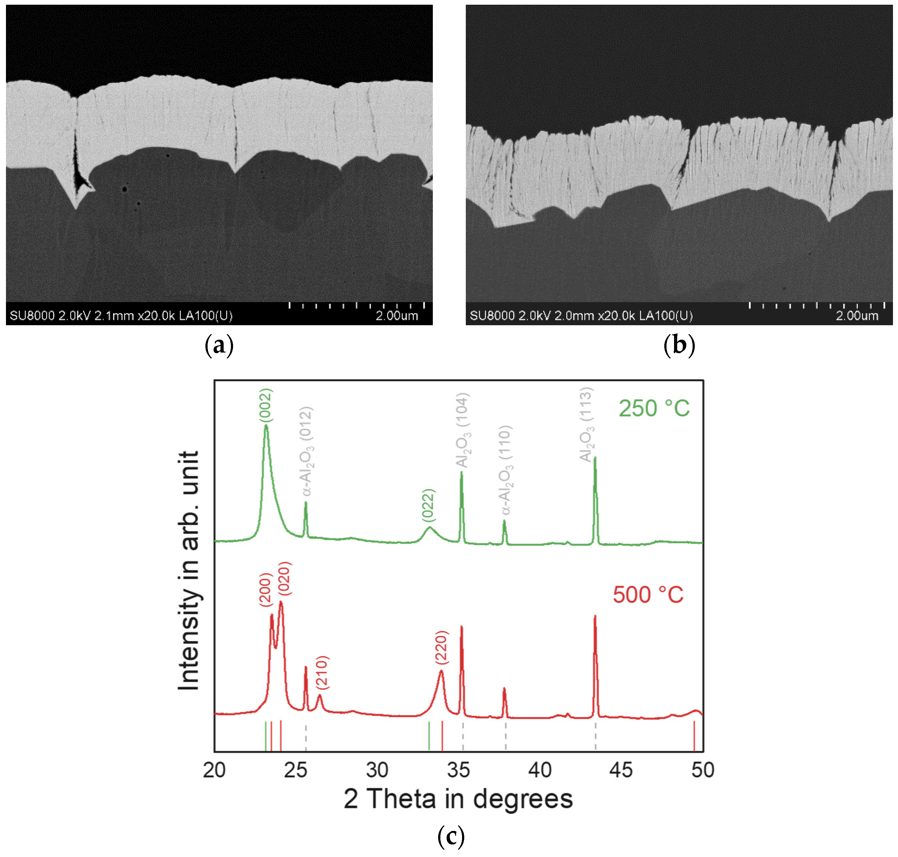 Coatings 14 00622 g007