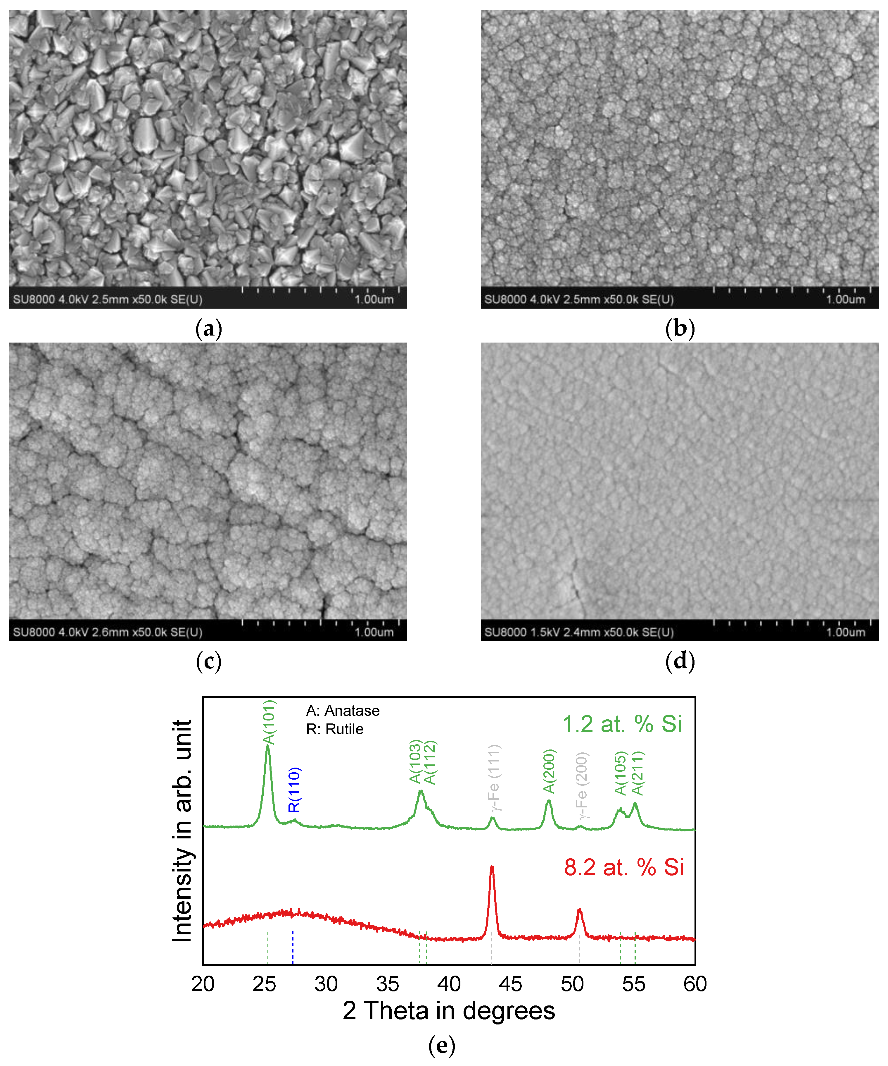 Coatings 14 00622 g010