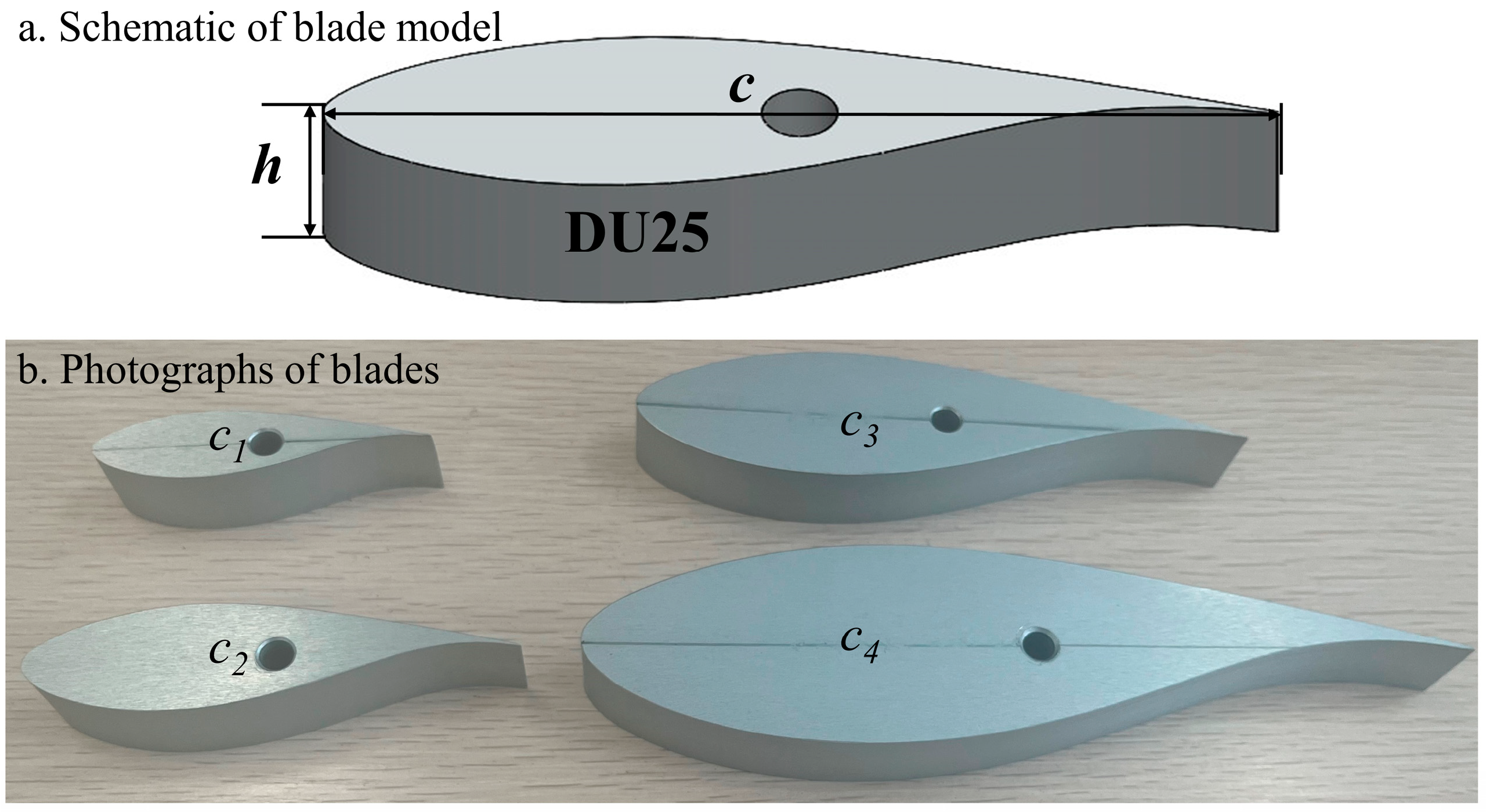 Coatings 14 00623 g002