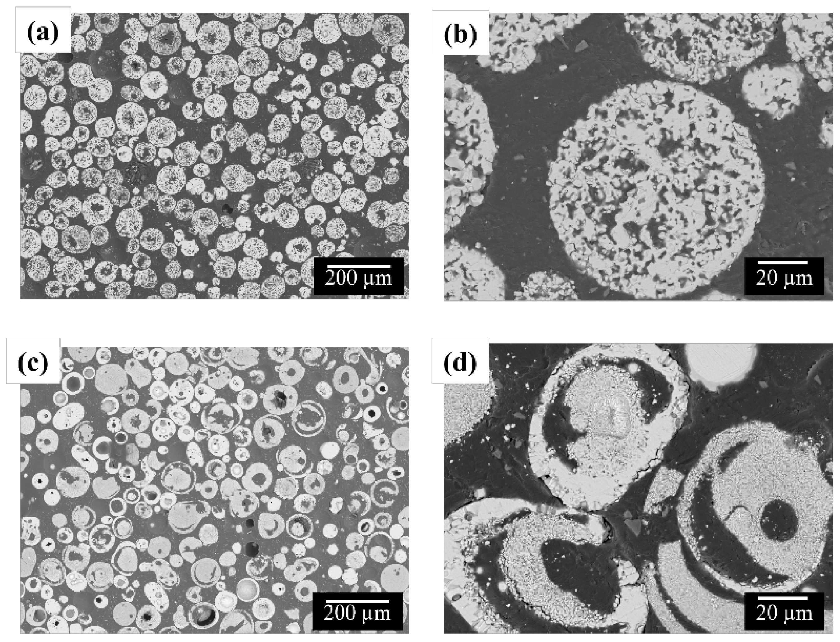 Coatings 14 00626 g002