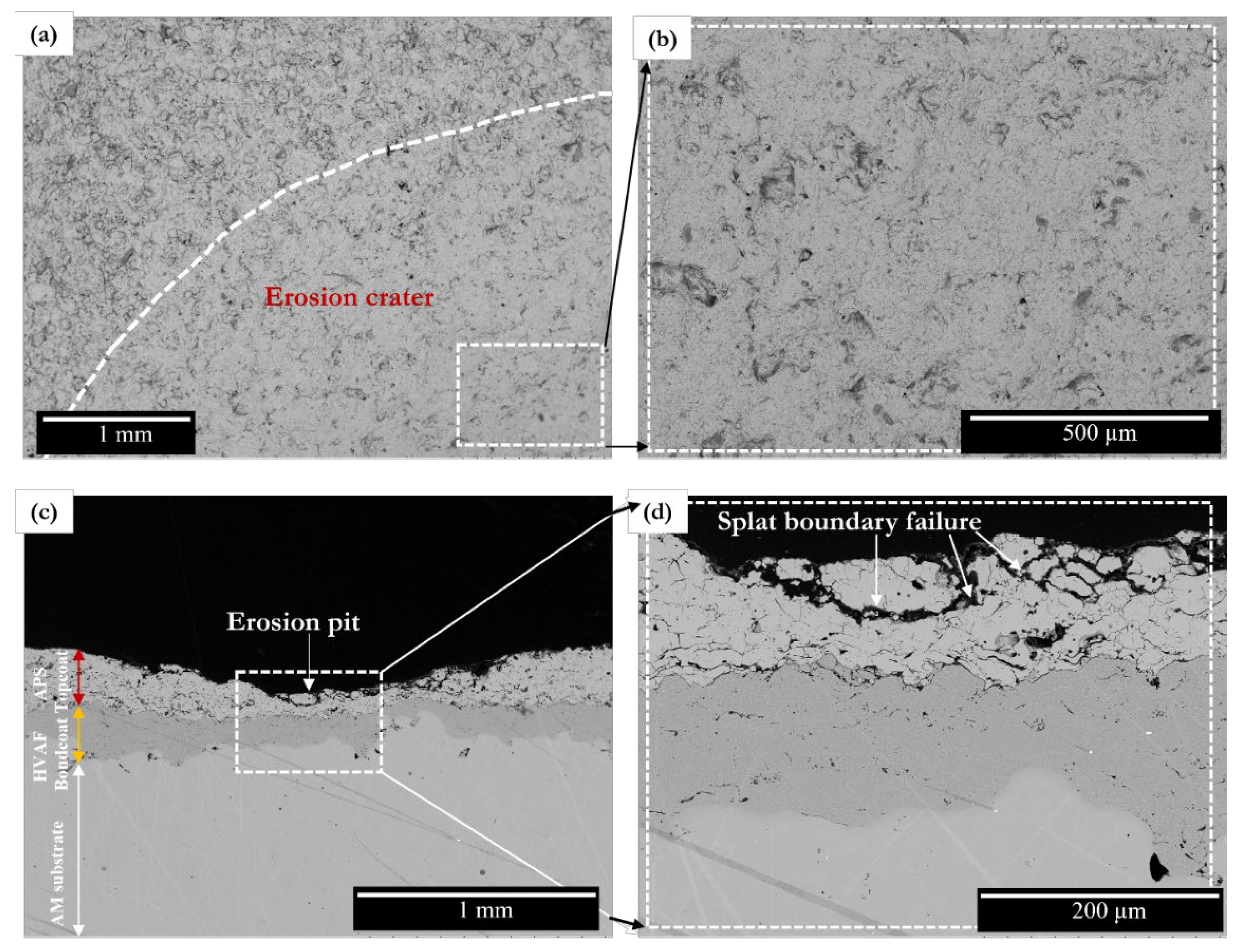 Coatings 14 00626 g011