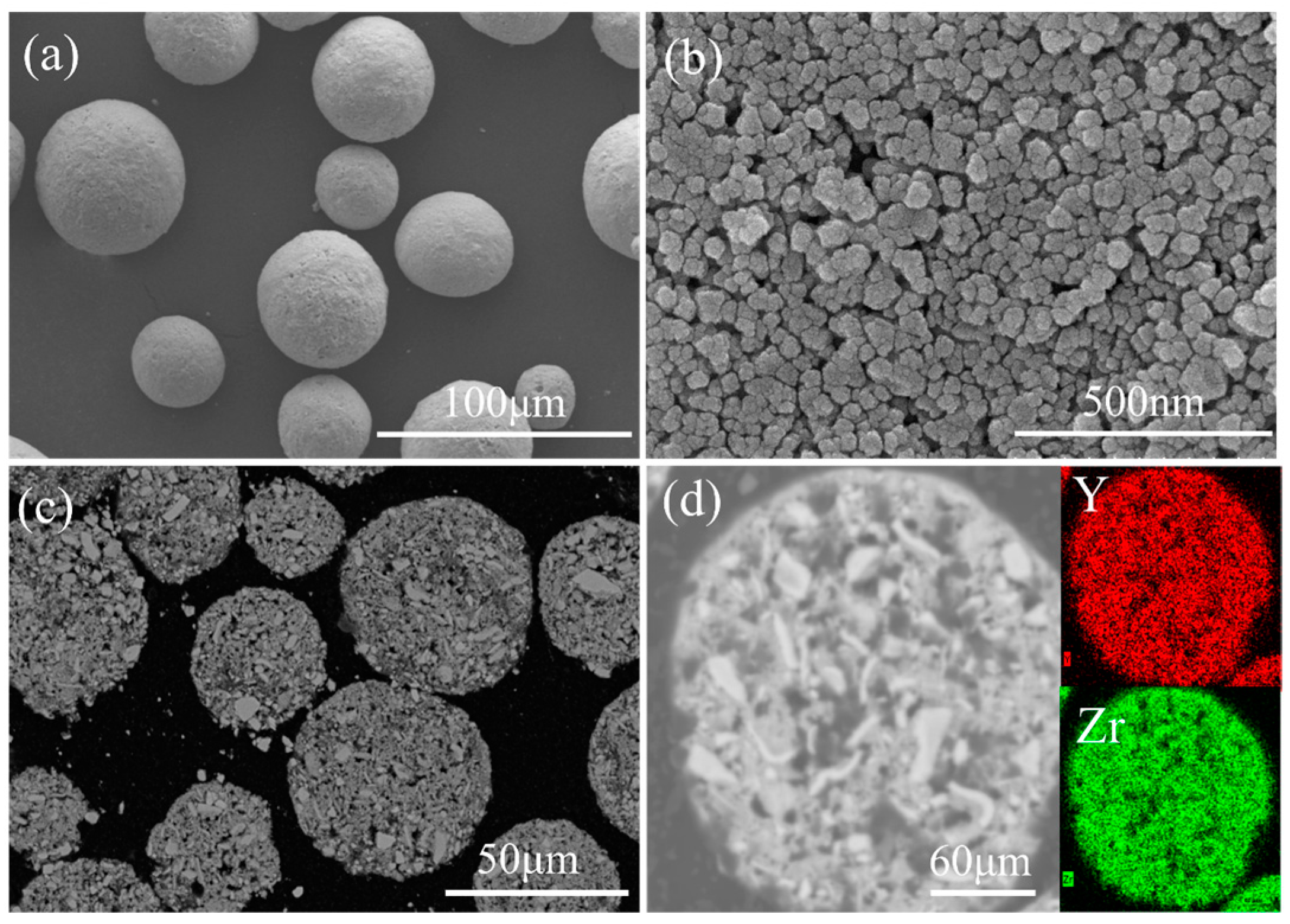 Coatings 14 00627 g001