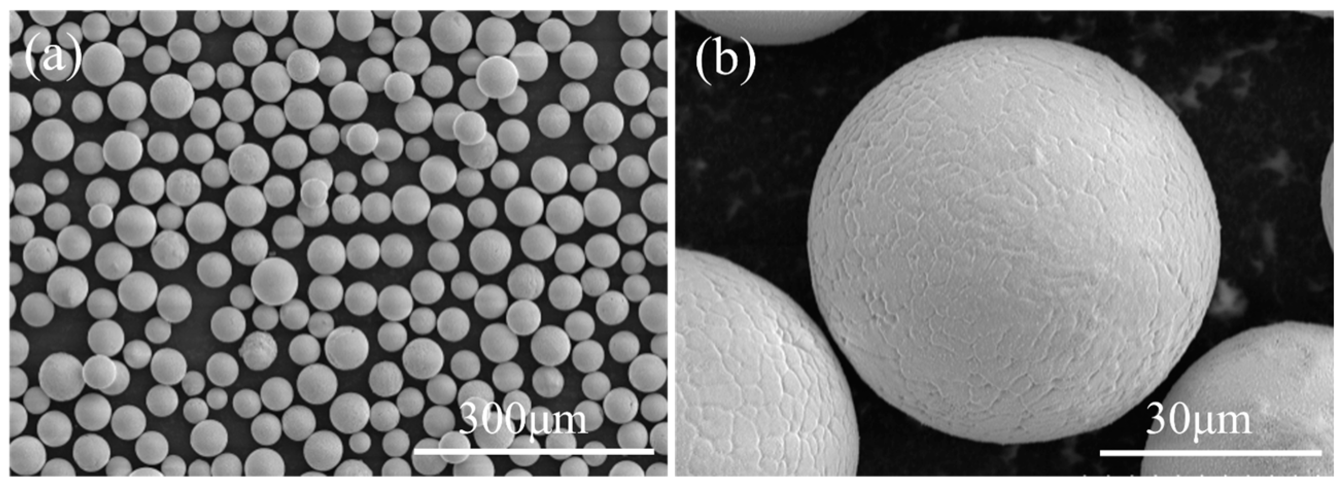 Coatings 14 00627 g002