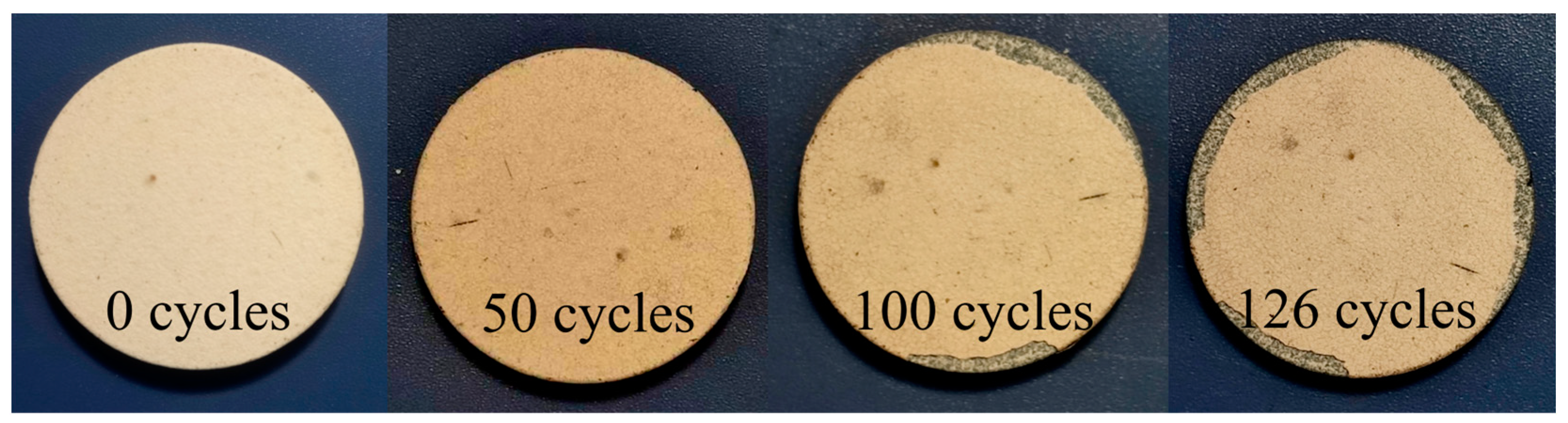 Coatings 14 00627 g009