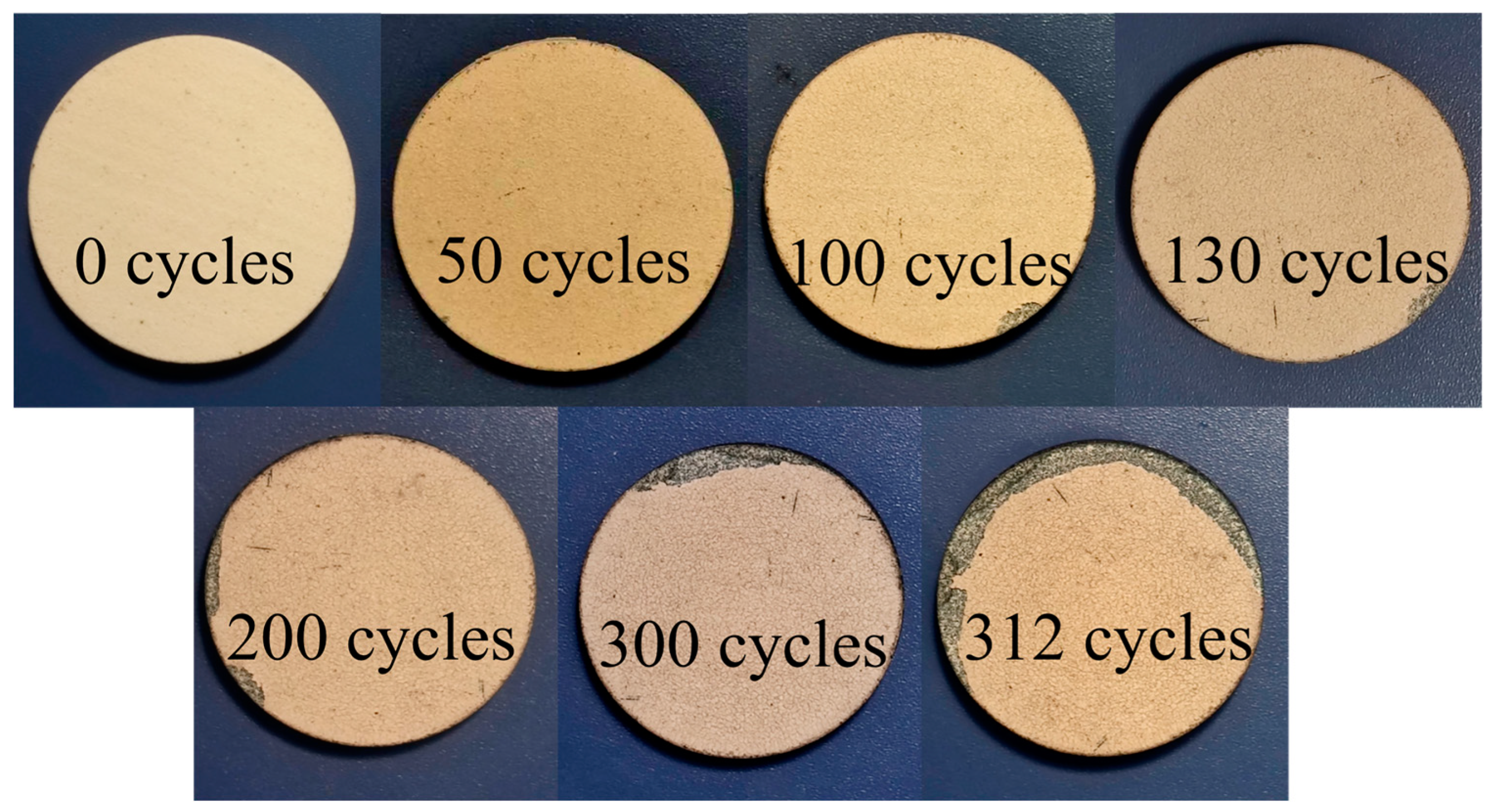 Coatings 14 00627 g010