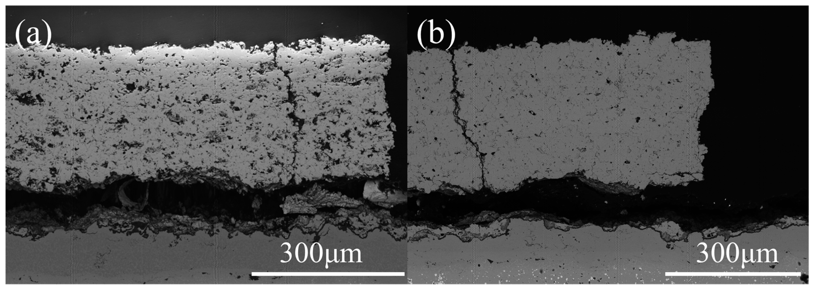 Coatings 14 00627 g011