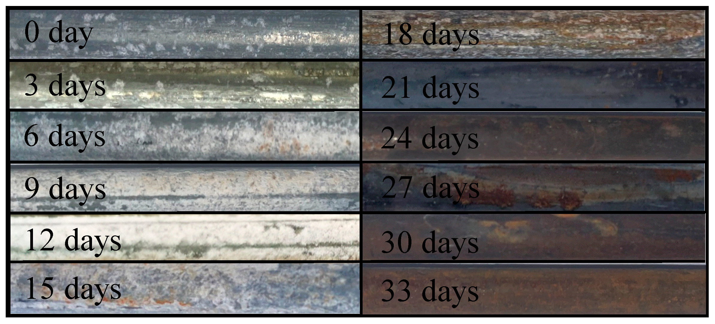 Coatings 14 00628 g004