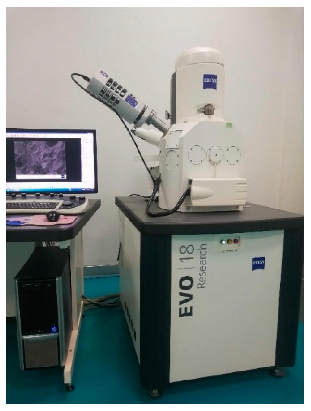 Coatings 14 00628 g005