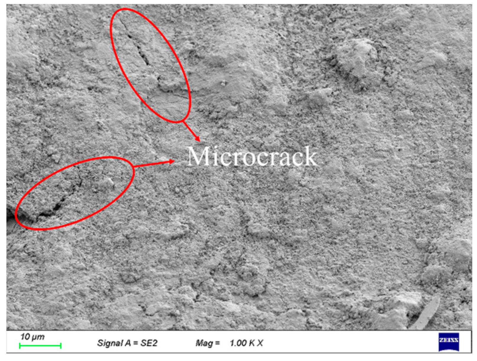 Coatings 14 00628 g006