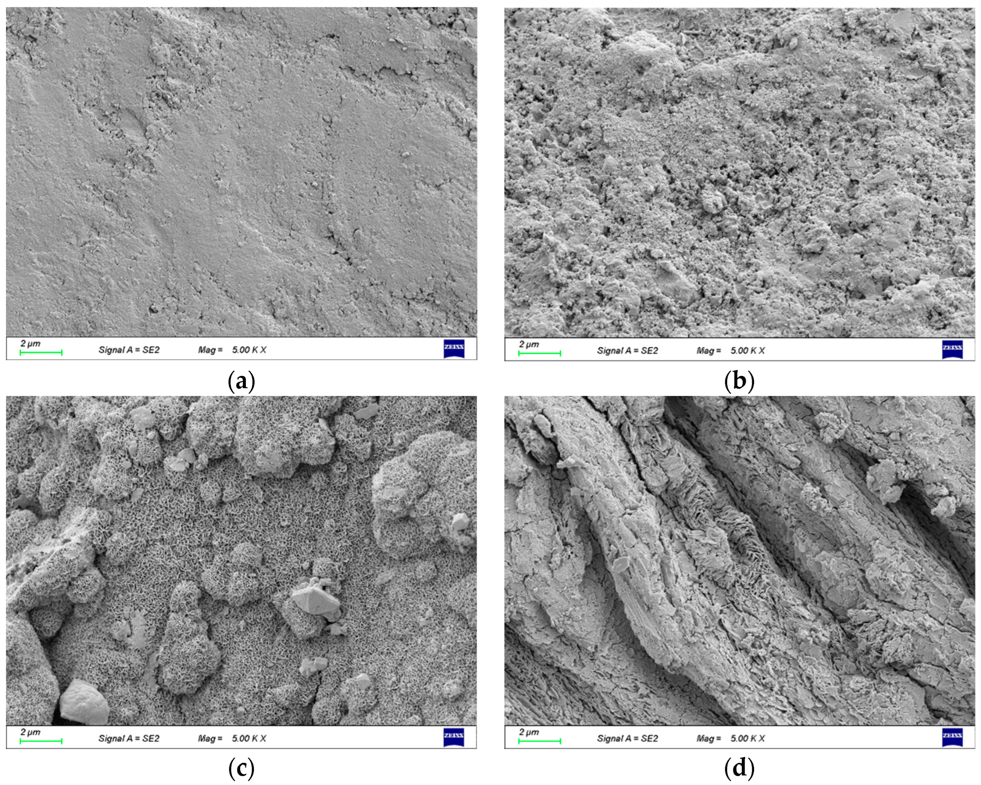 Coatings 14 00628 g007