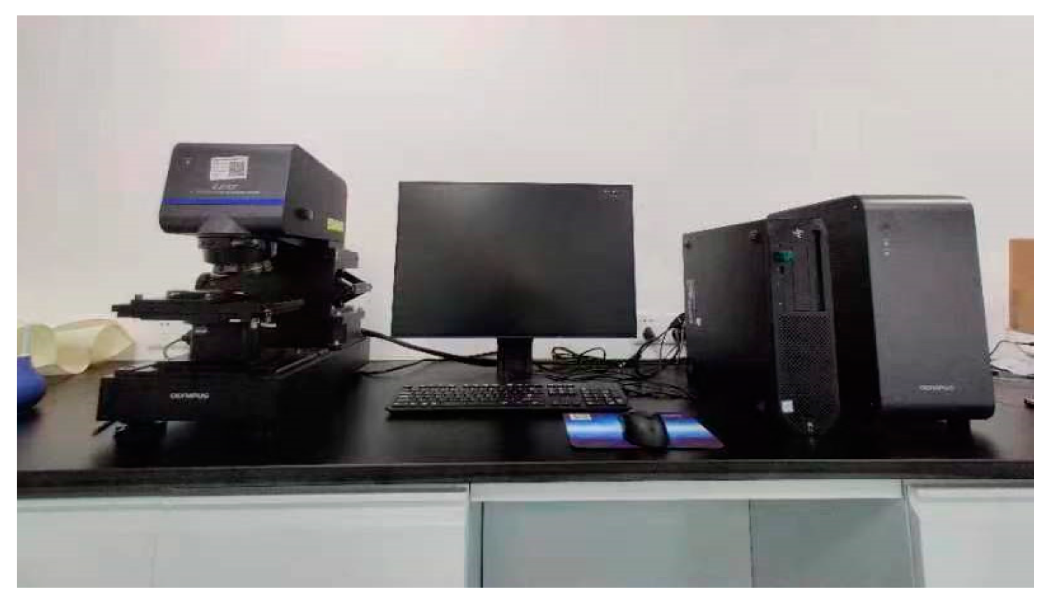 Coatings 14 00628 g009