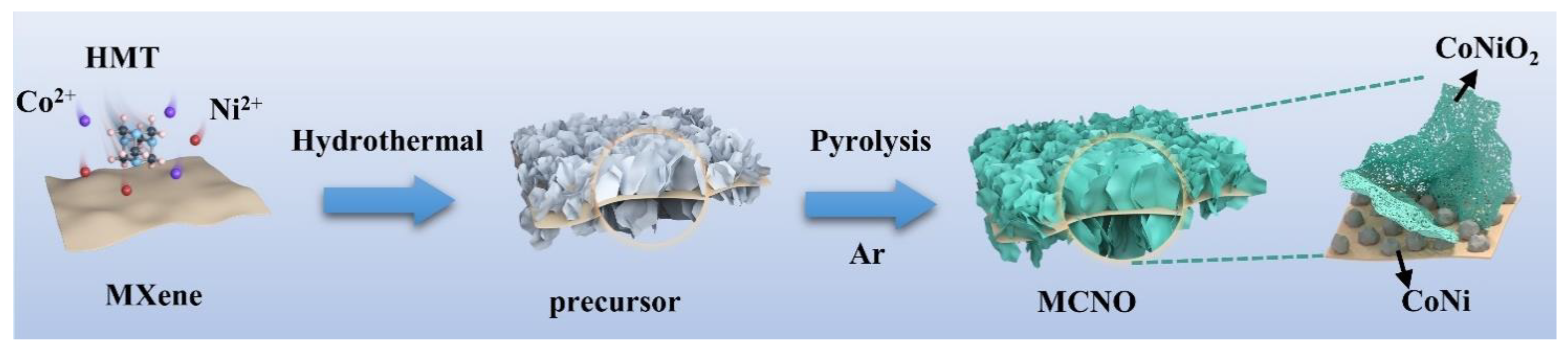 Coatings 14 00631 g001