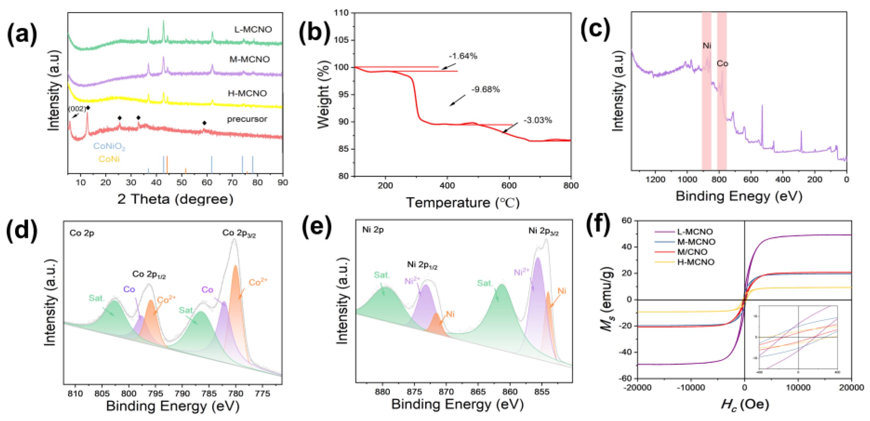 Coatings 14 00631 g003