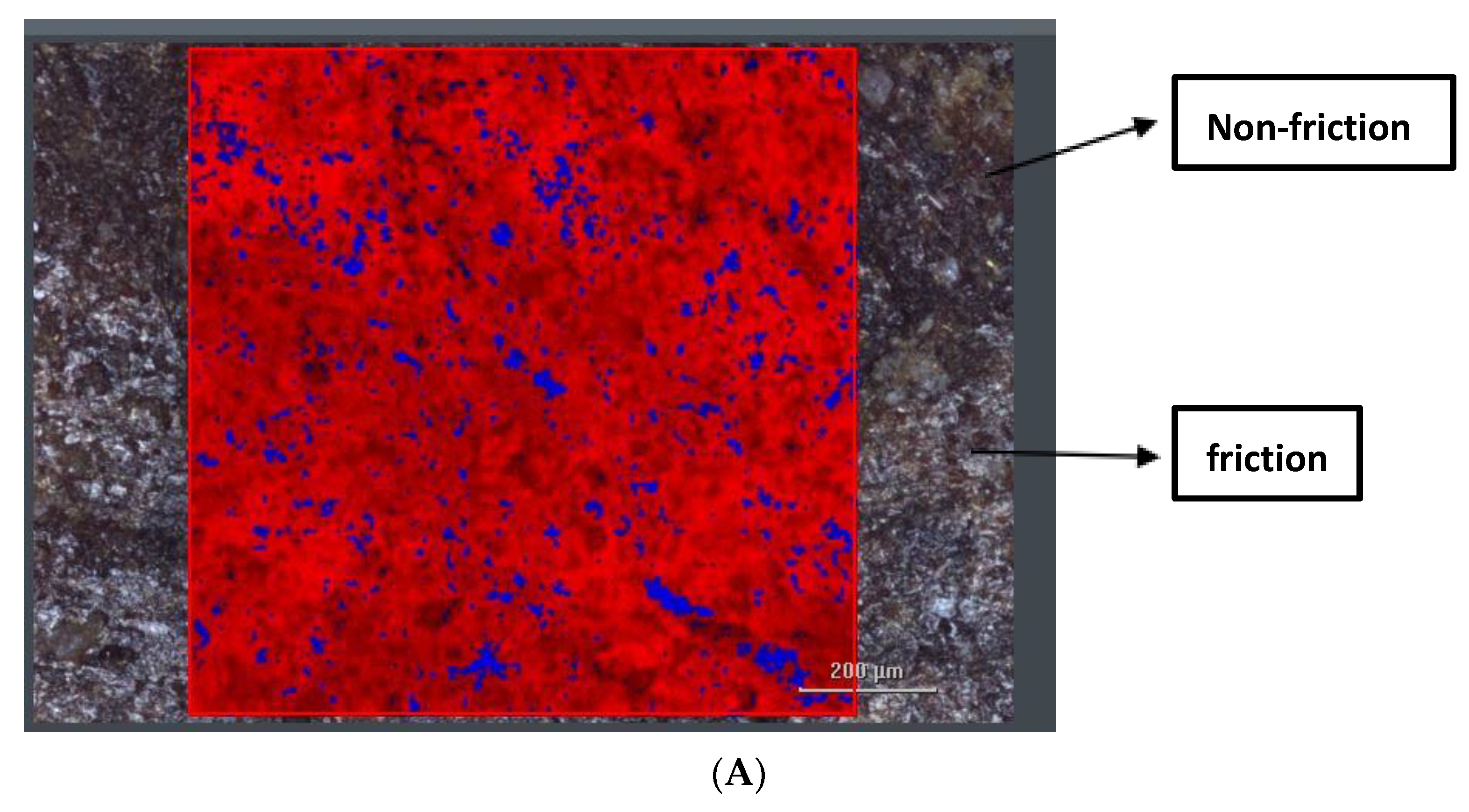 Coatings 14 00632 g008a
