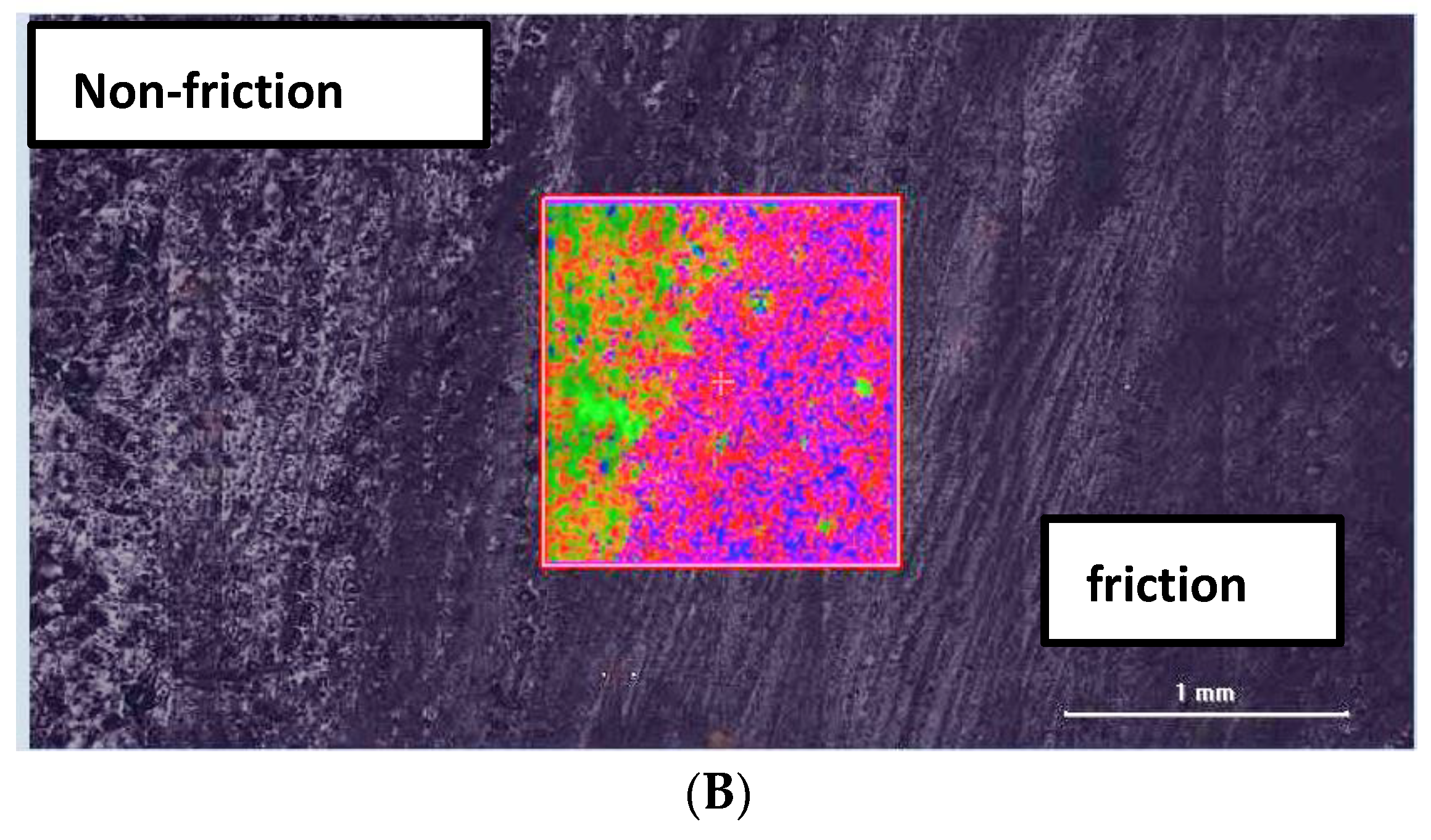 Coatings 14 00632 g008b