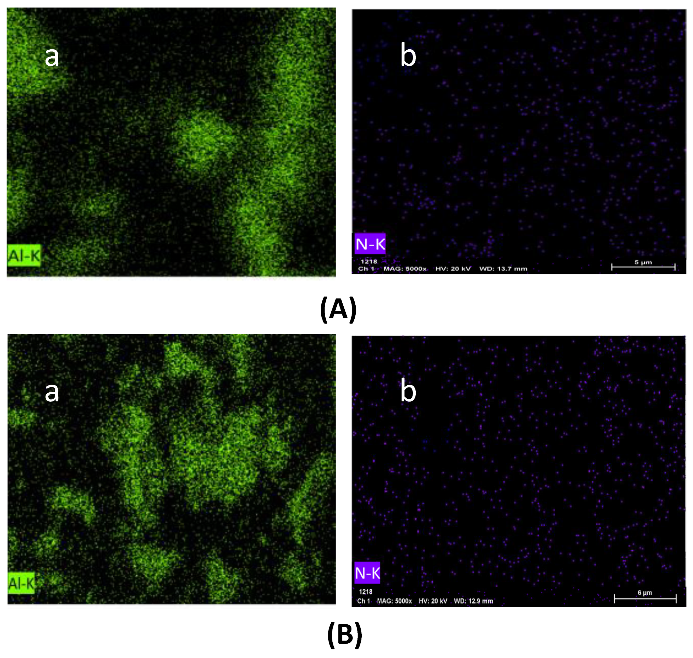 Coatings 14 00632 g012