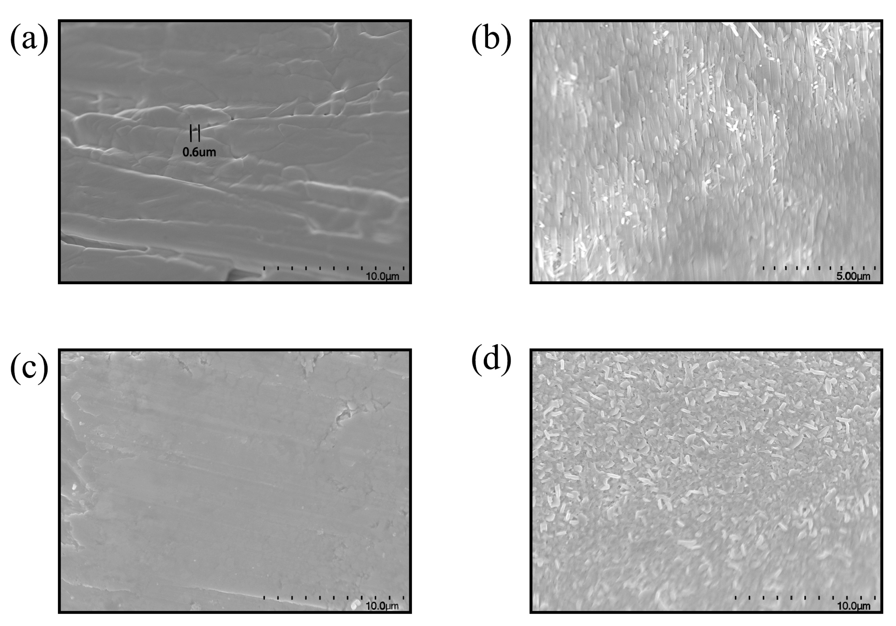 Coatings 14 00633 g003
