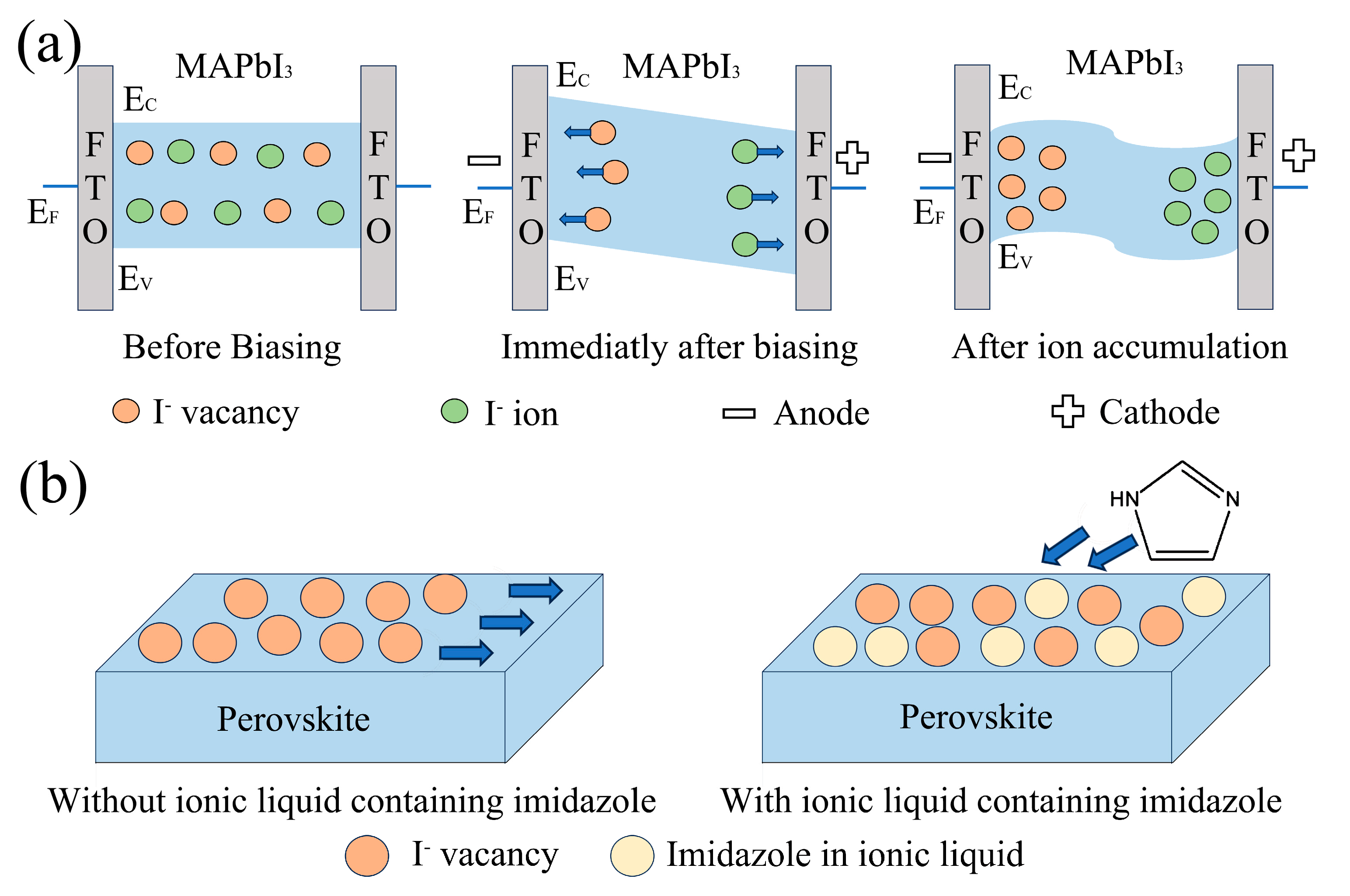Coatings 14 00633 g006